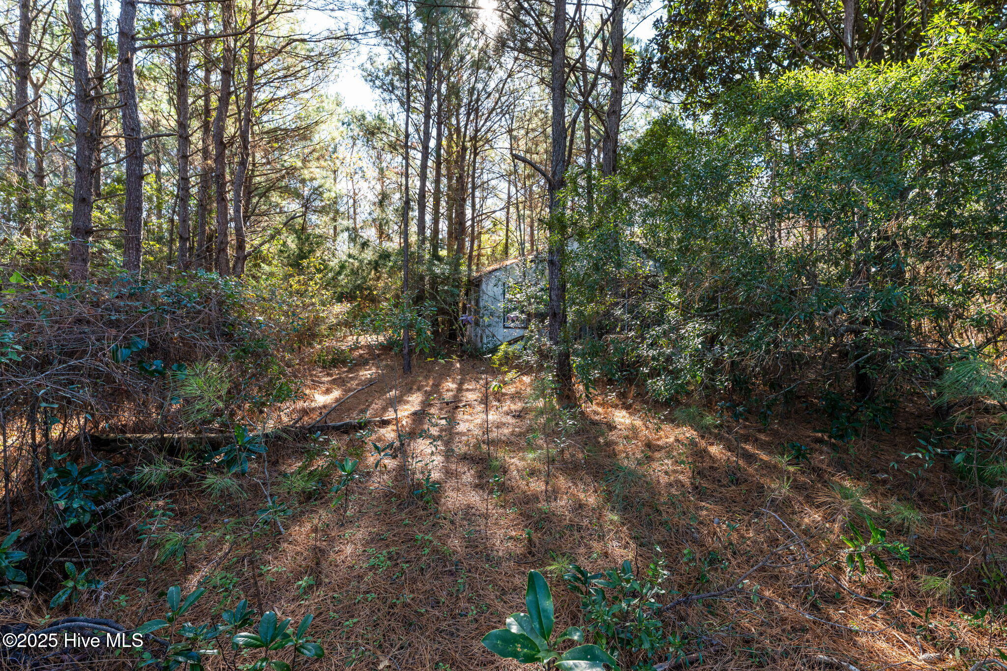 24324 Us Highway 17 Property Photo 5