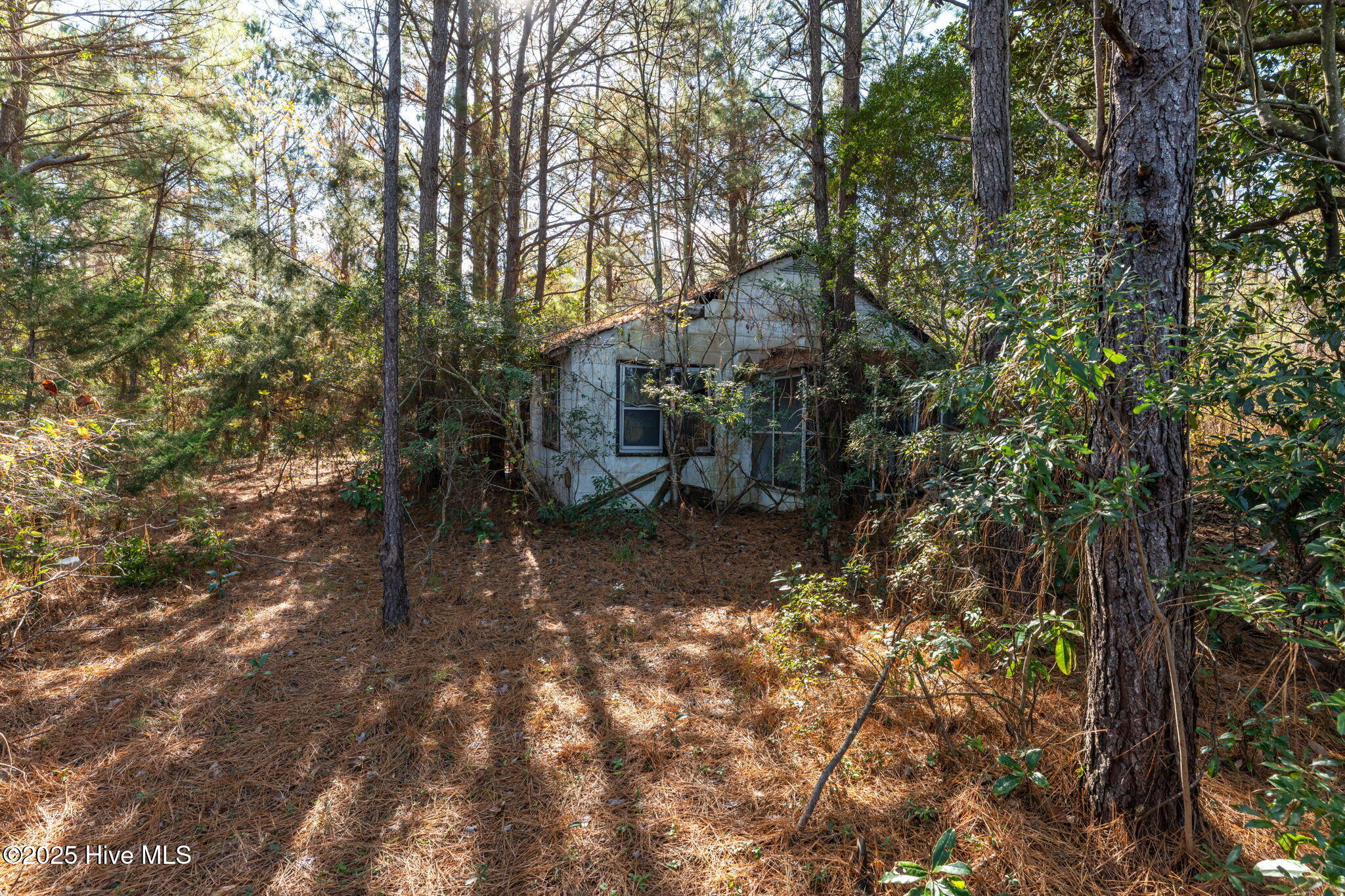 24324 Us Highway 17 Property Photo 6