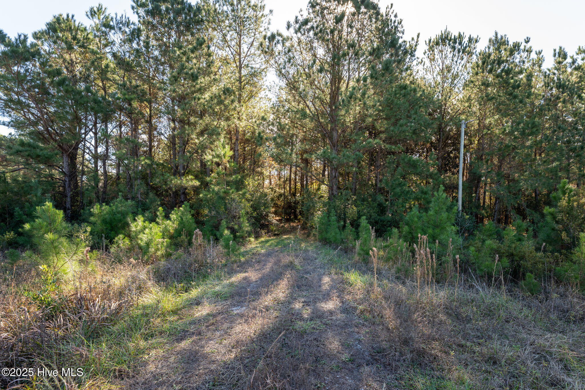 24324 Us Highway 17 Property Photo 7