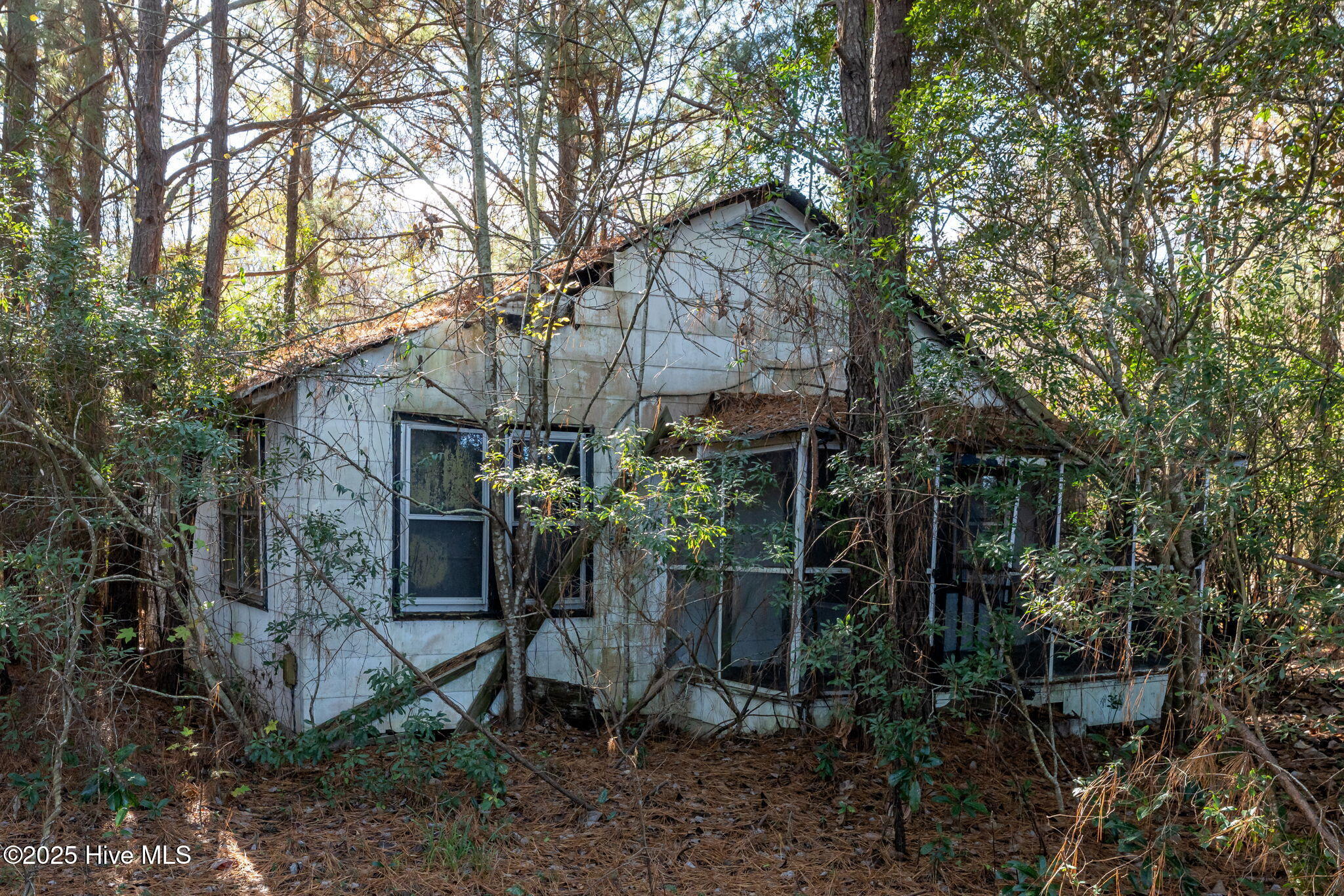 24324 Us Highway 17 Property Photo 8