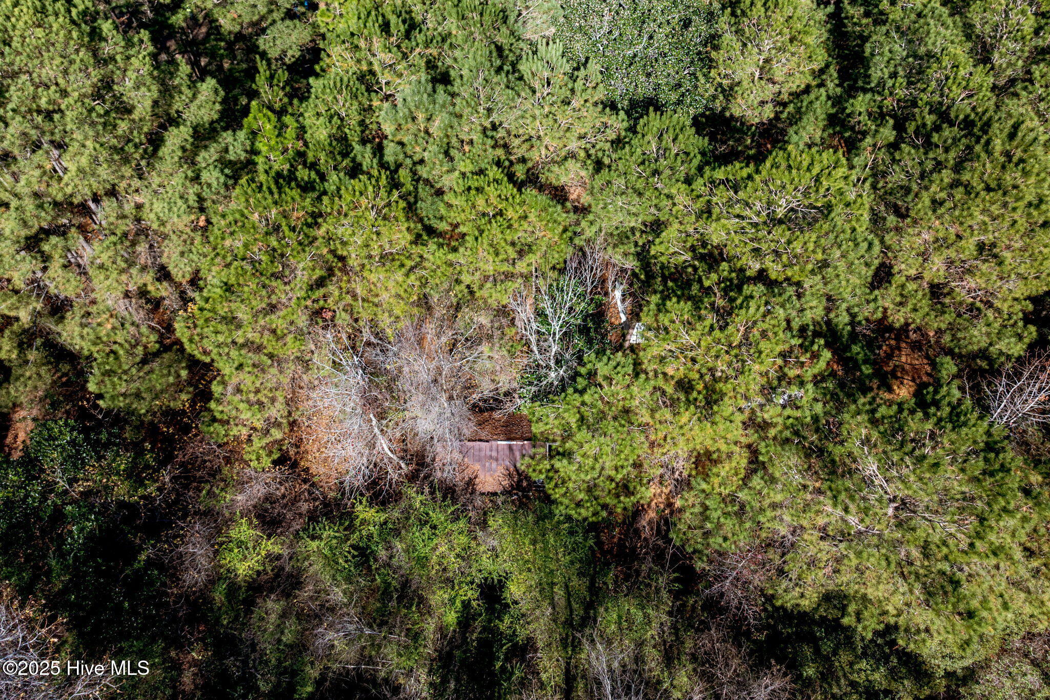 24324 Us Highway 17 Property Photo 19