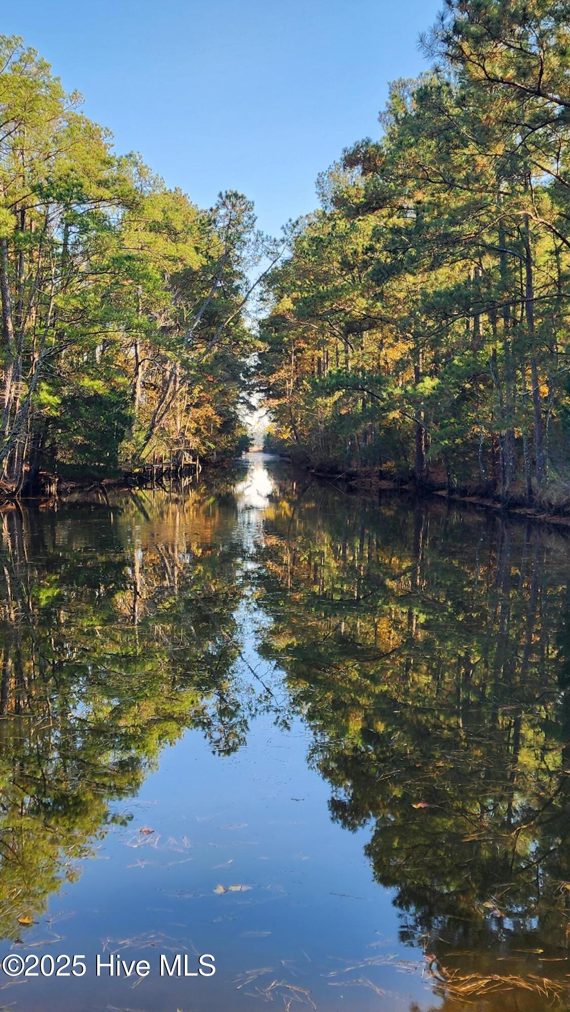 187 Pamlico Parkway Property Photo 11