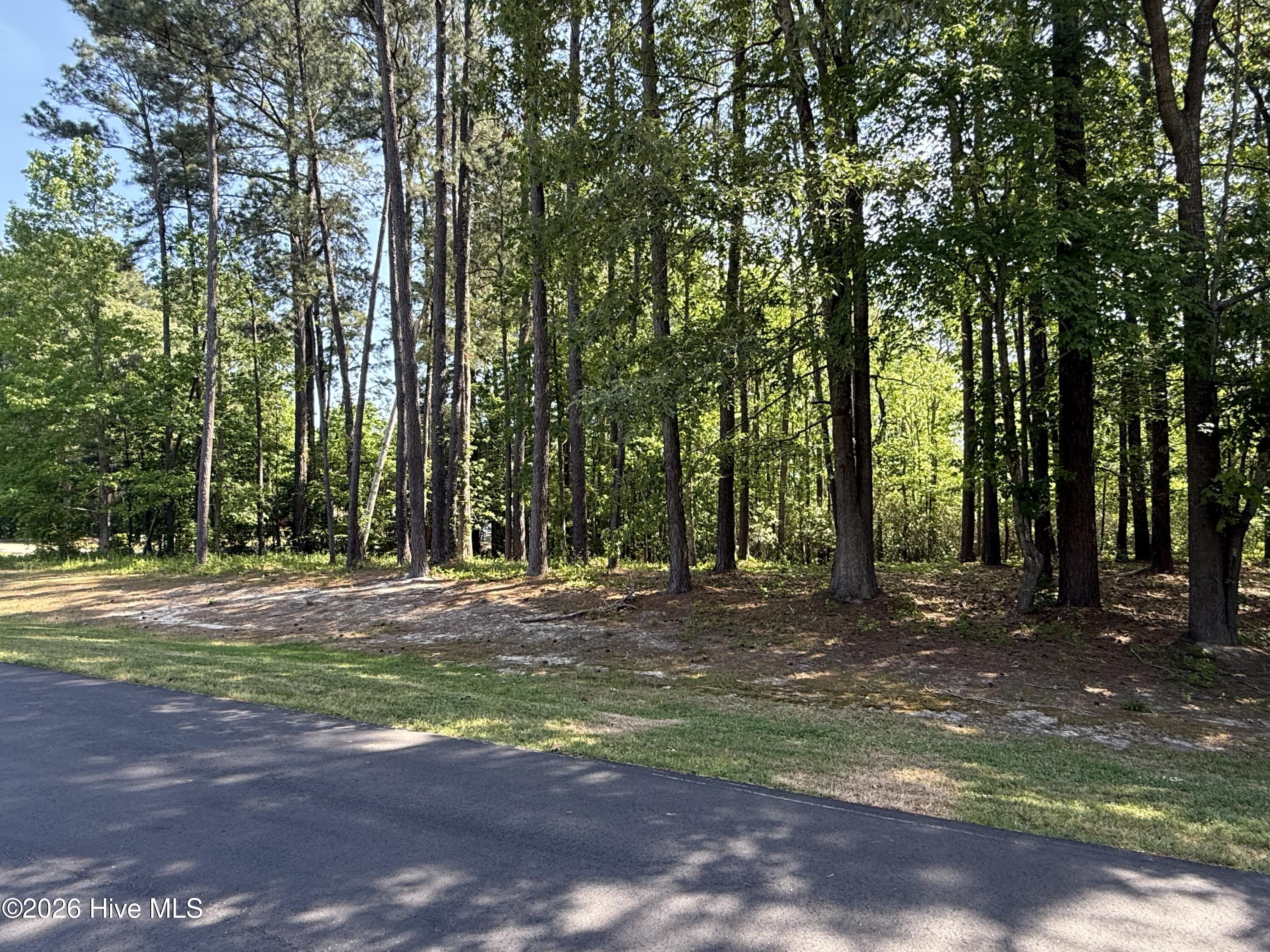14 Greenwood Drive Property Photo 6