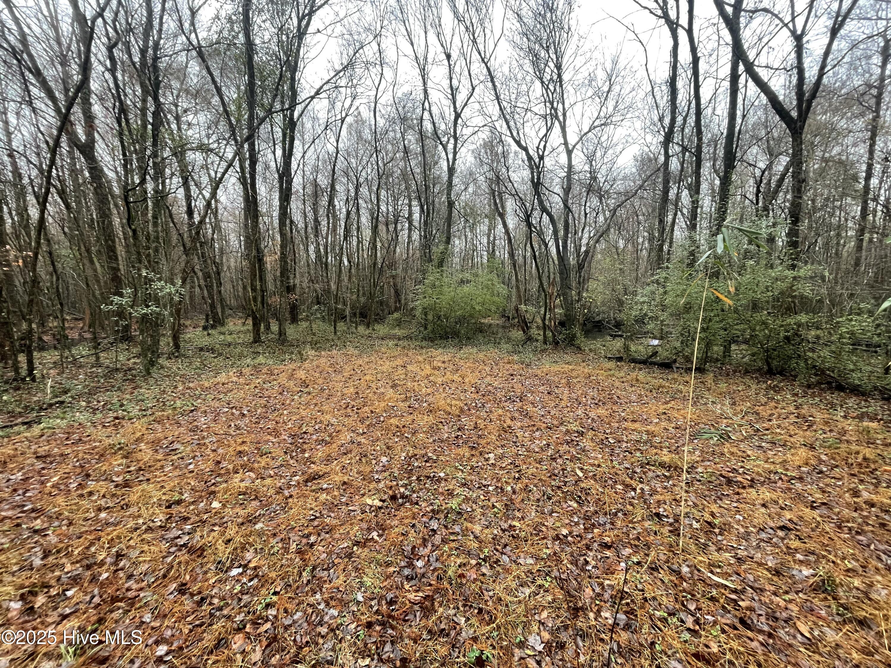 00 Gurman Powell Road Property Photo 10