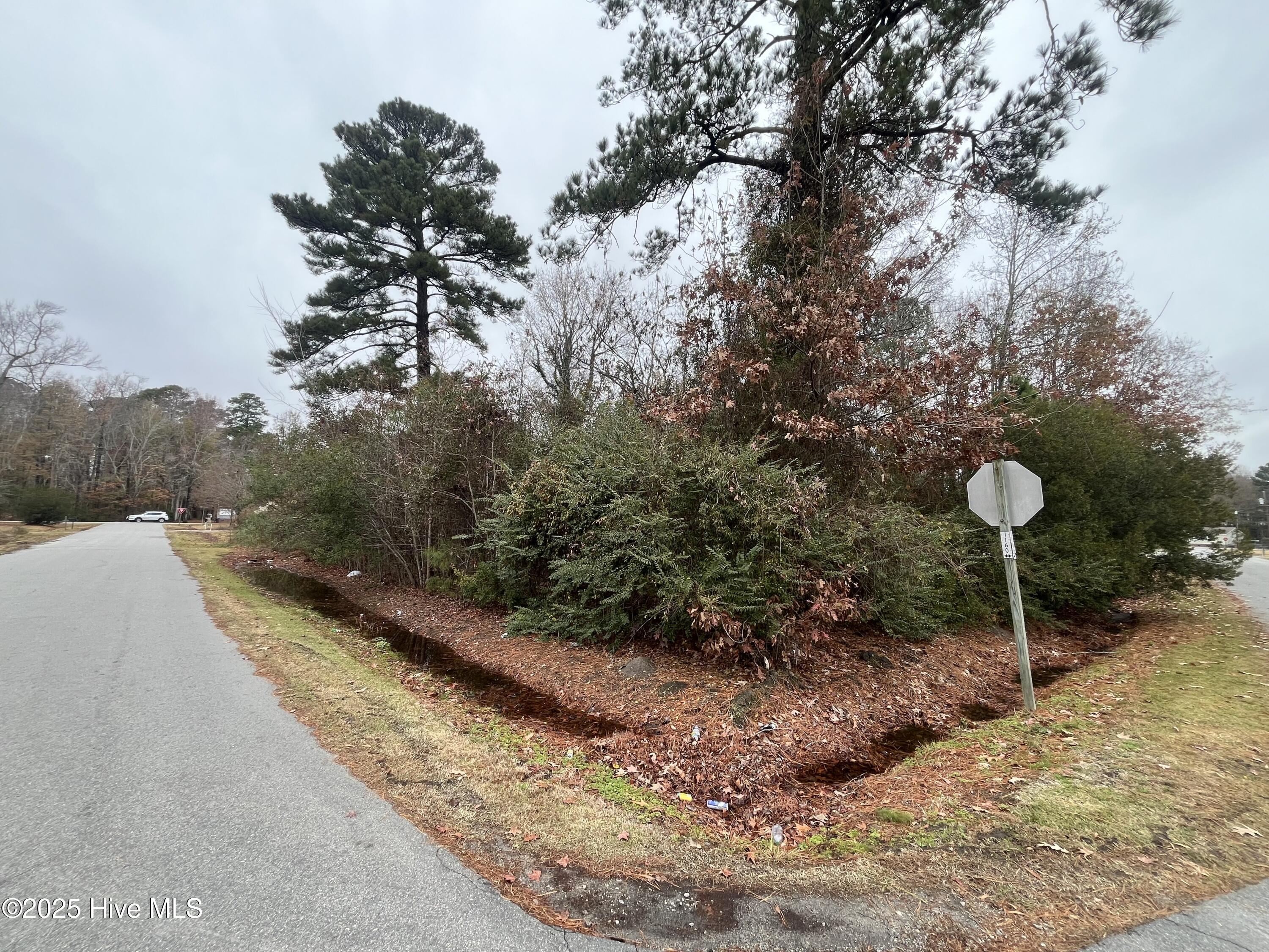 307 Pineview Drive Property Photo 1