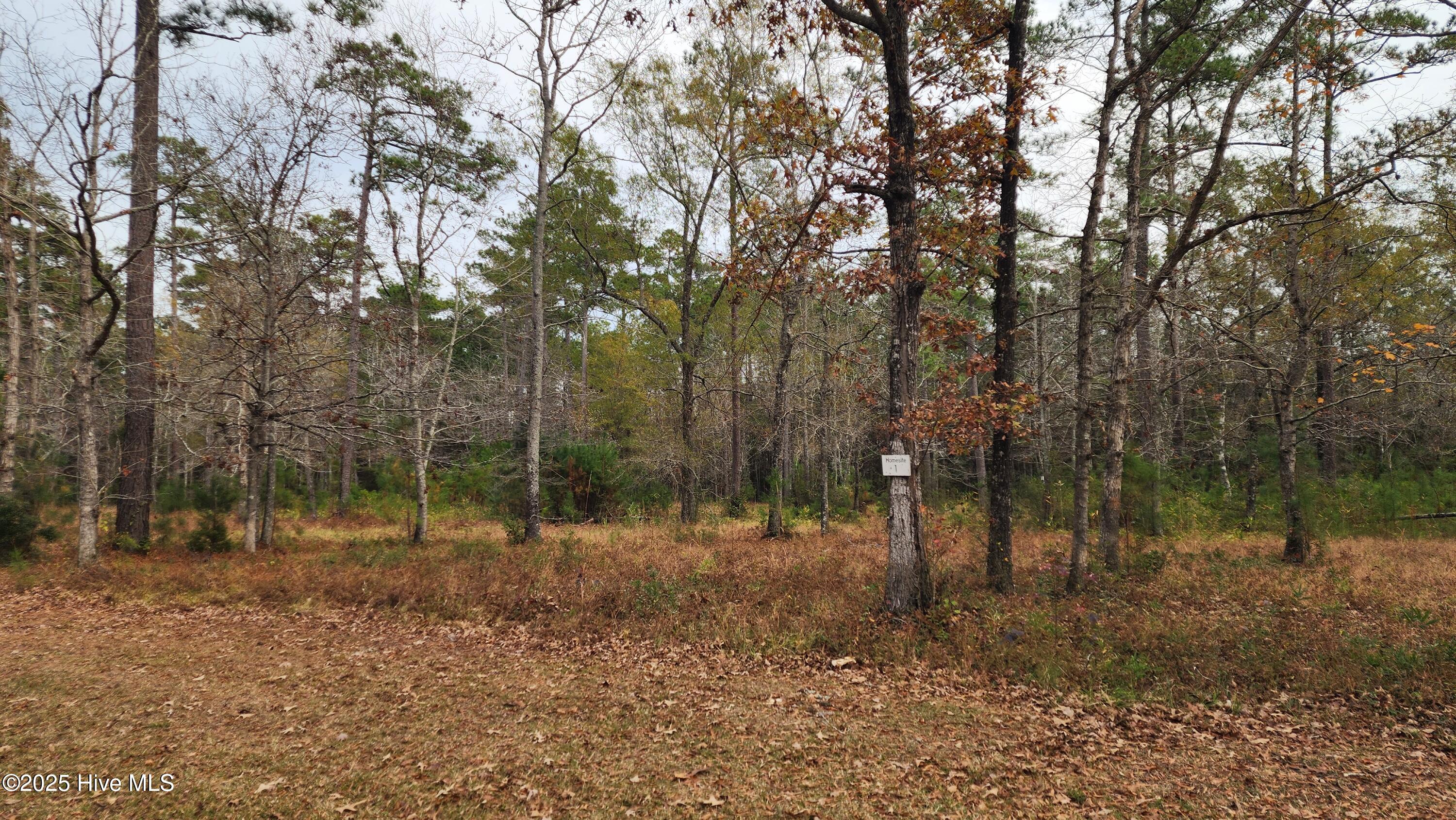 112 1 Sandy Point Drive Property Photo 24