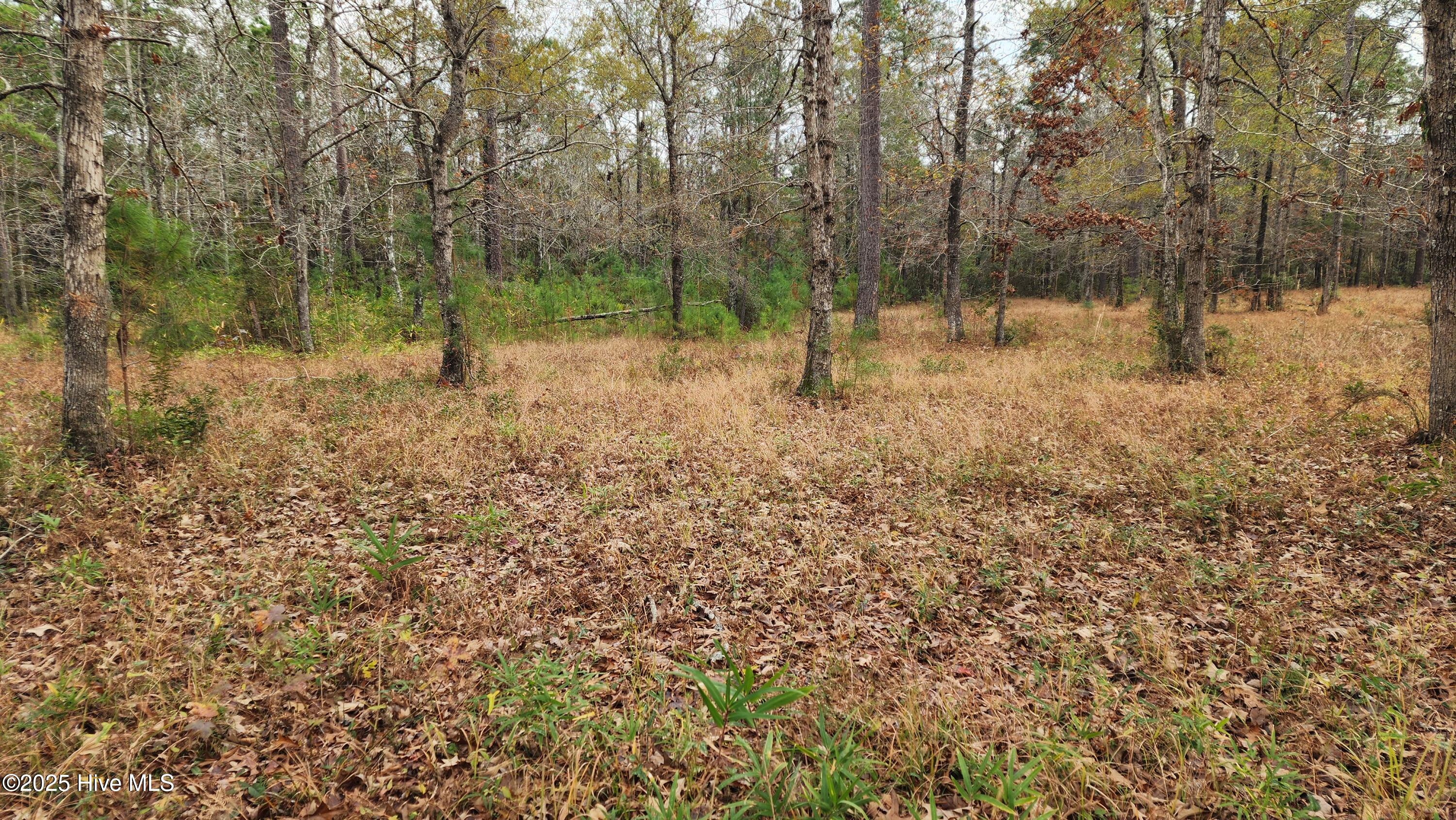 112 1 Sandy Point Drive Property Photo 25