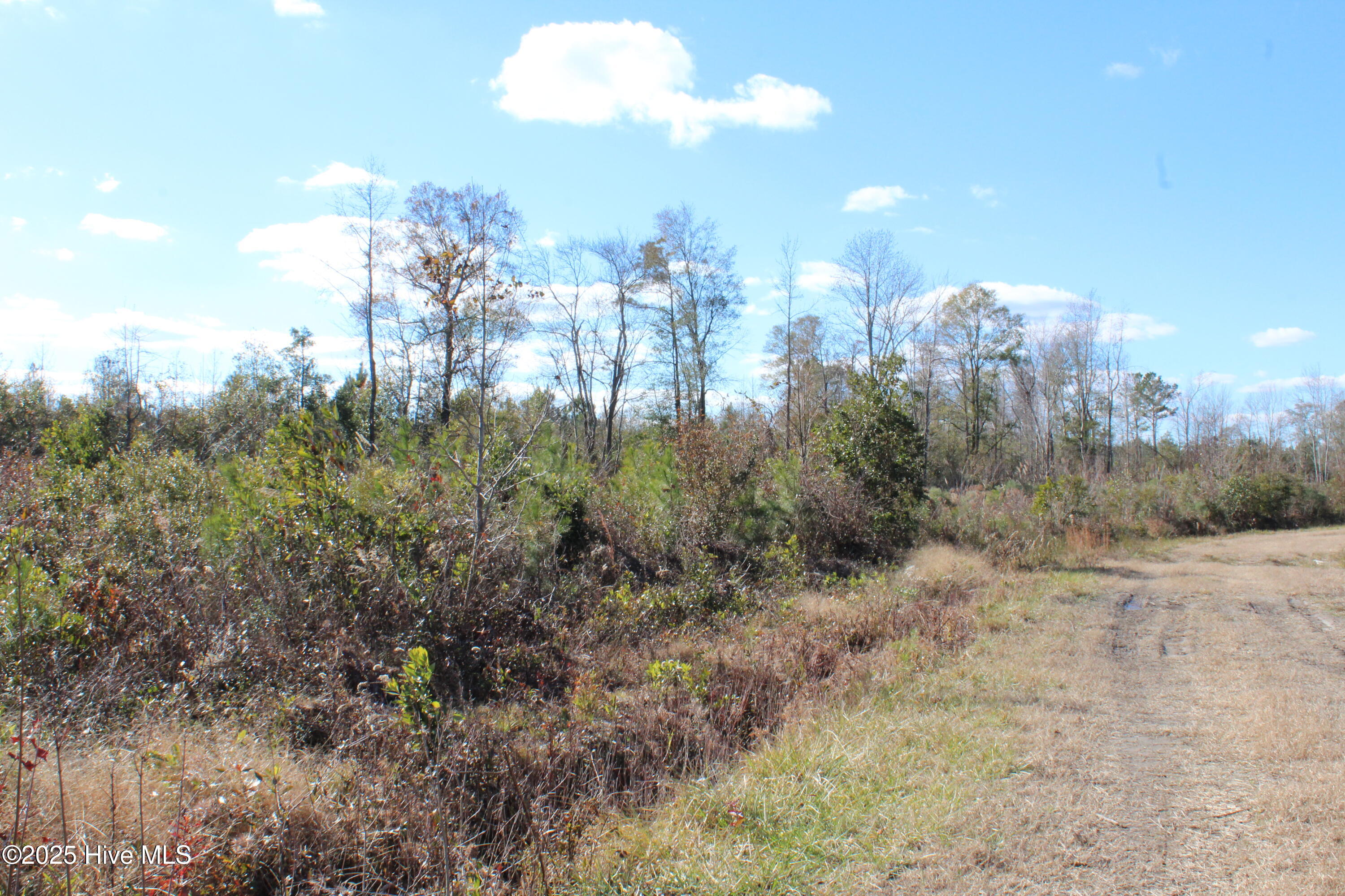 Lot 1 Richlands Road Property Photo 1
