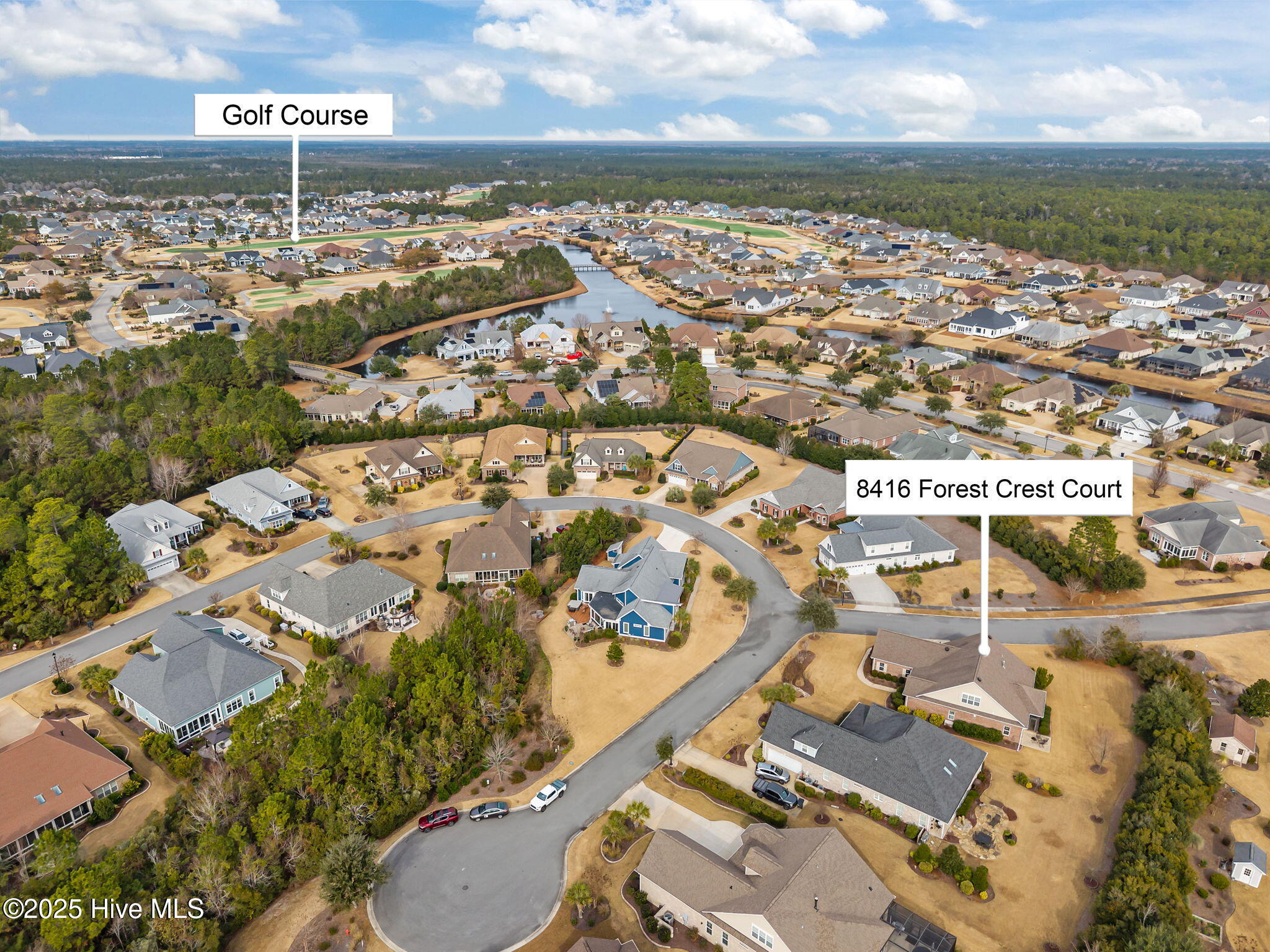 8416 Forest Crest Court Property Photo 4