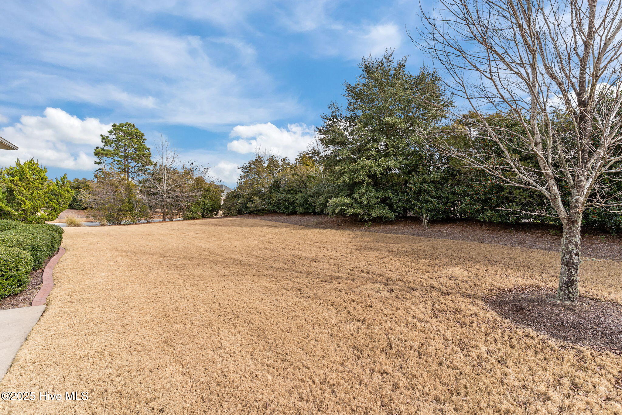 8416 Forest Crest Court Property Photo 39