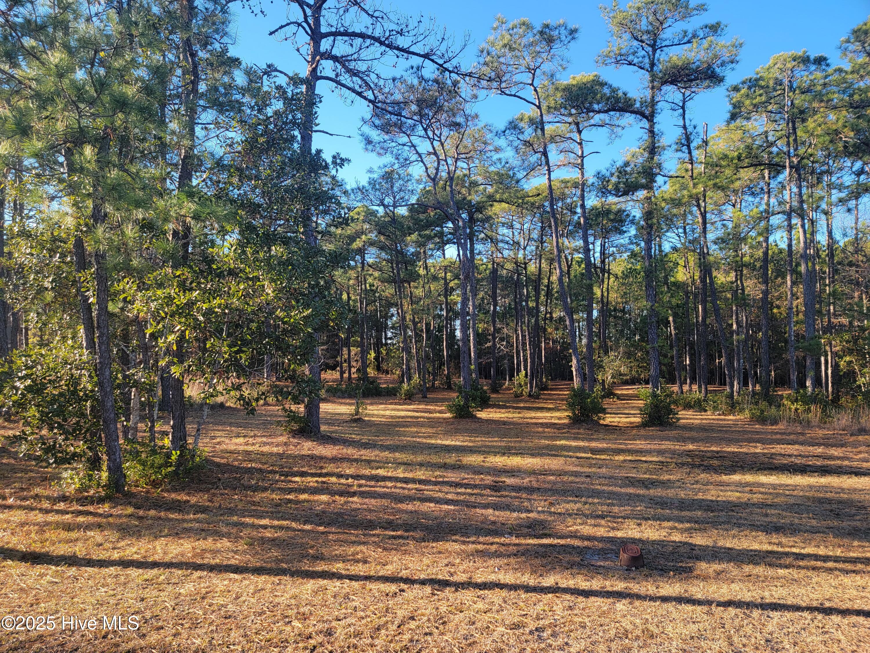 6727 114 Dunlowe Notch Sw Property Photo 2