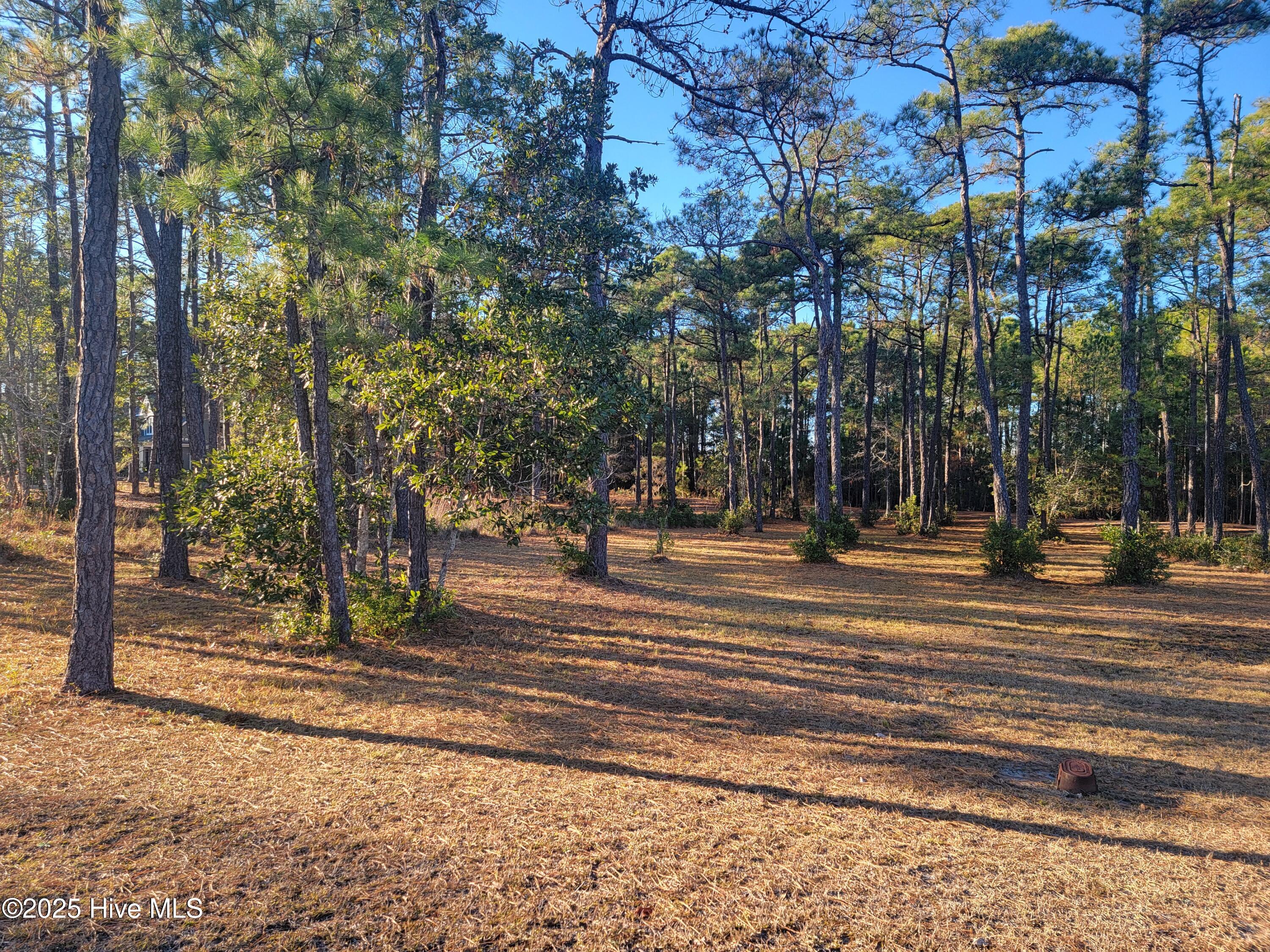 6727 114 Dunlowe Notch Sw Property Photo 3