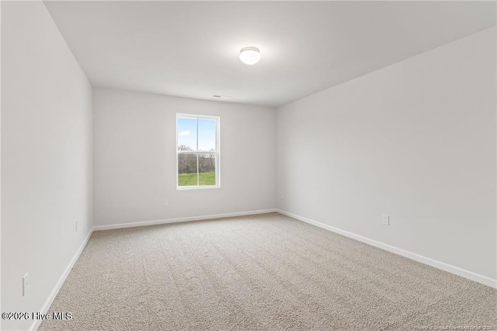 100 Rubyfield Court Property Photo 15