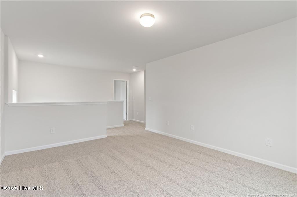 100 Rubyfield Court Property Photo 17