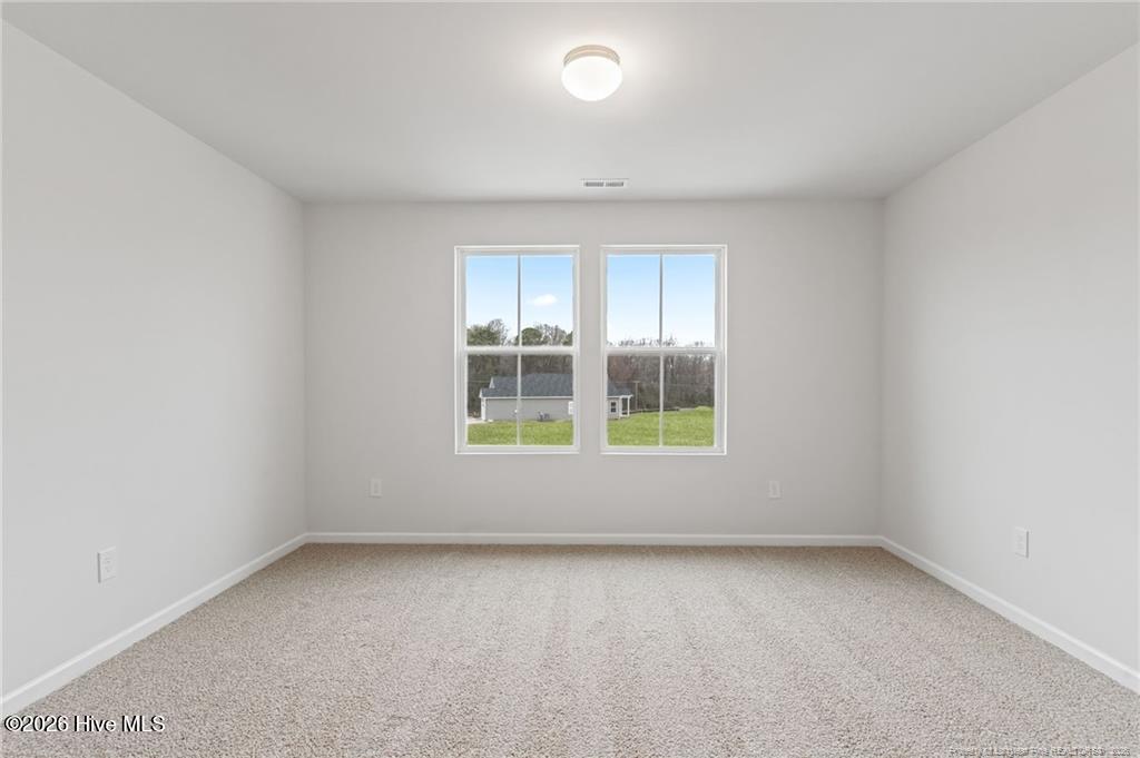 100 Rubyfield Court Property Photo 18