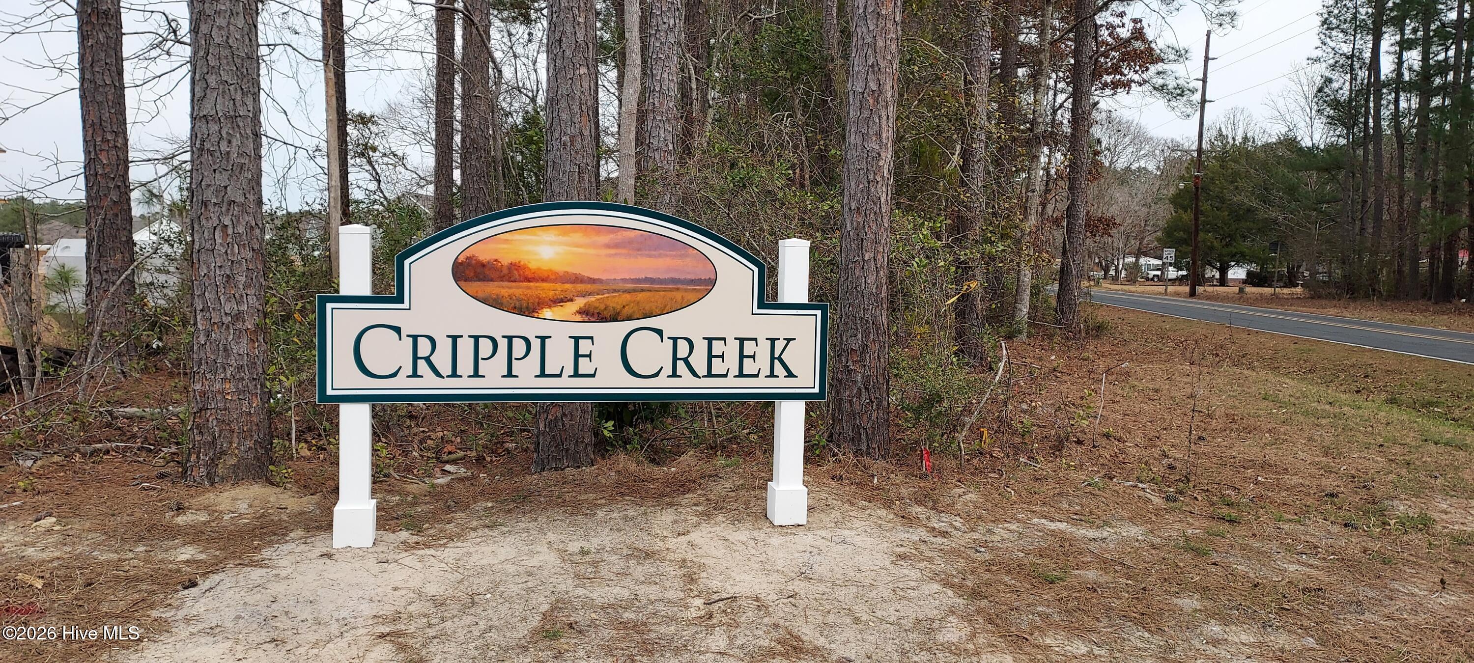 118 Cripple Creek Drive Property Photo 15