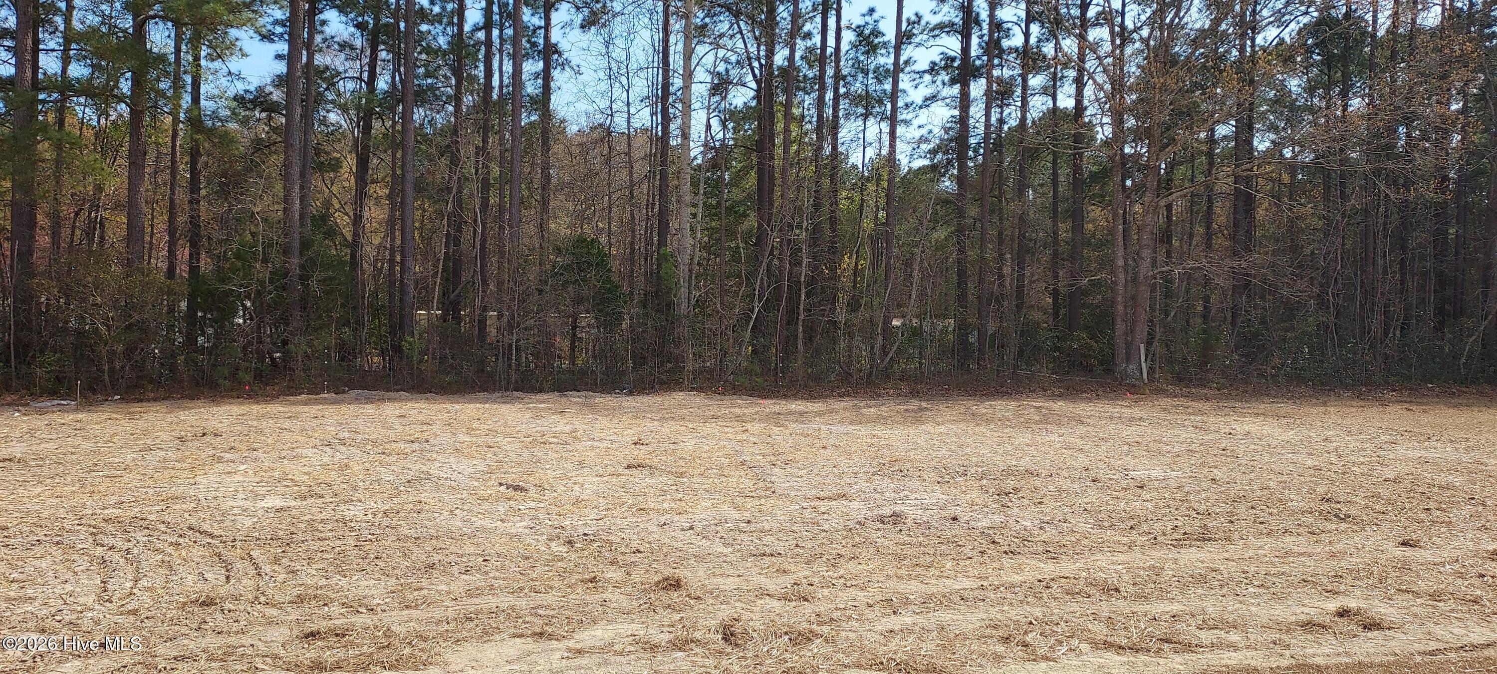 110 Rolling Water Lane Property Photo 18