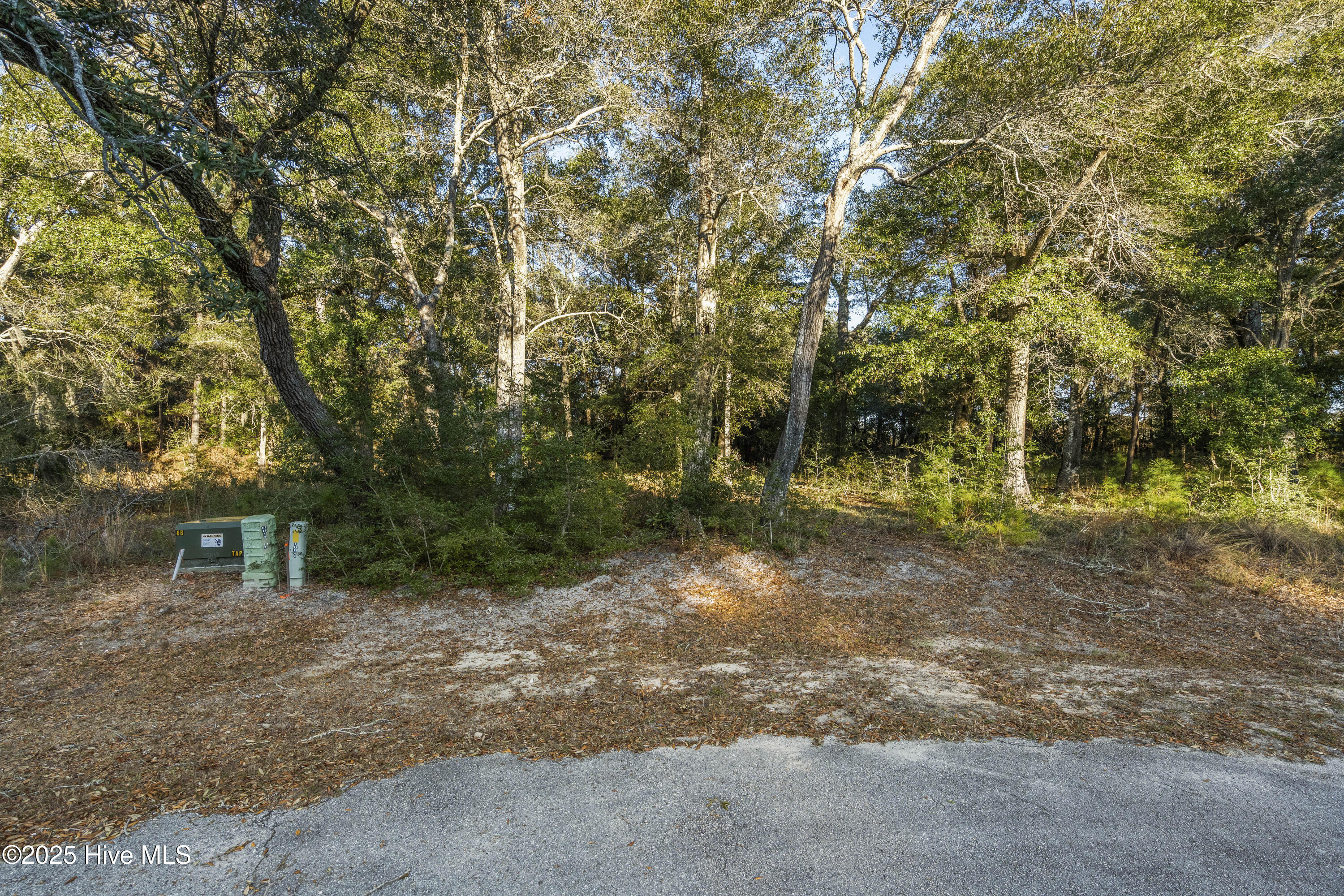 3335 434r Stone Crab Court Sw Property Photo 1