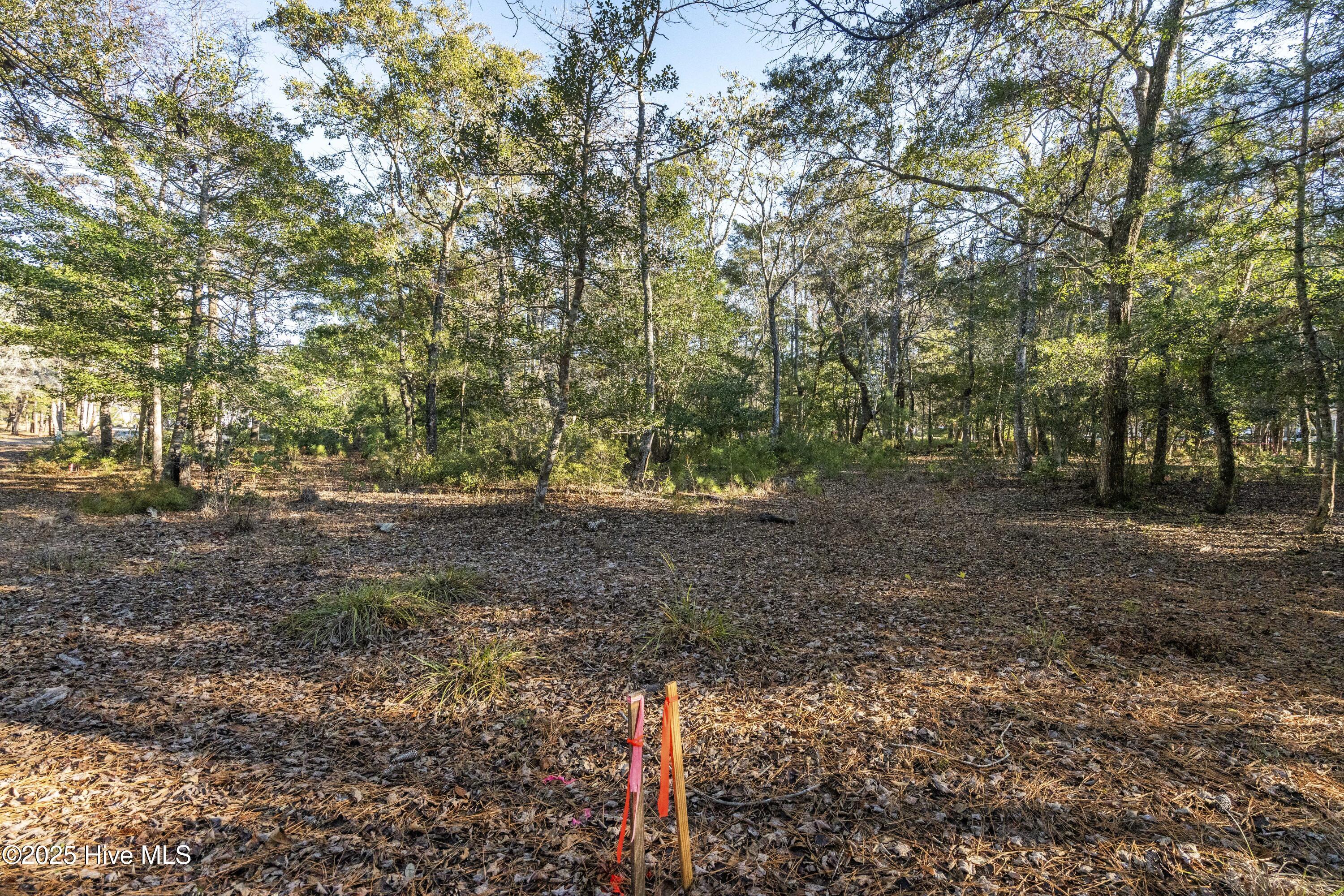1998 296 Redfish Run Sw Property Photo 11