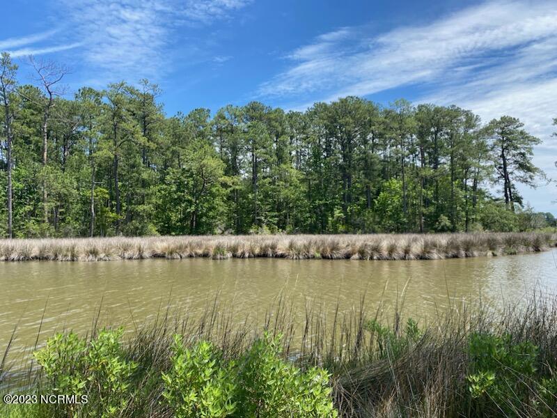 300 Cabin Creek Lane Property Photo 8