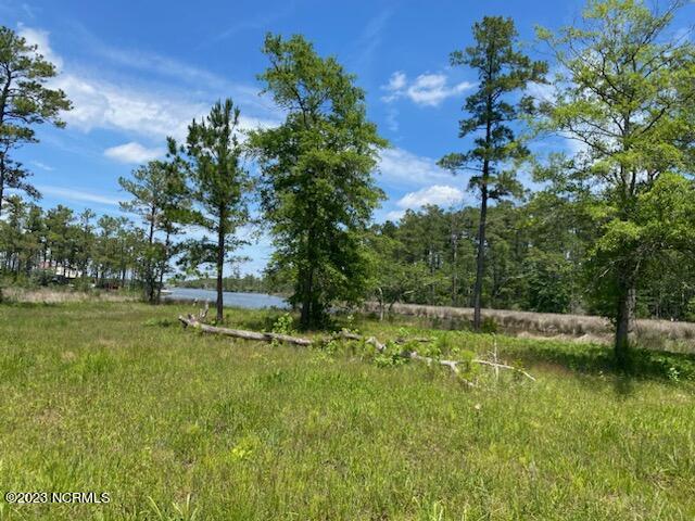 300 Cabin Creek Lane Property Photo 10