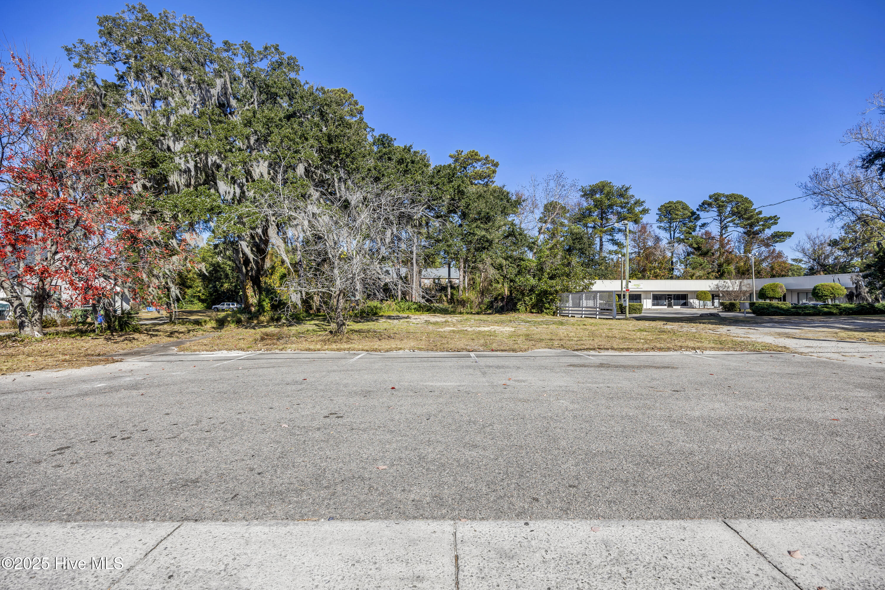 4213 Princess Place Drive Property Photo 5