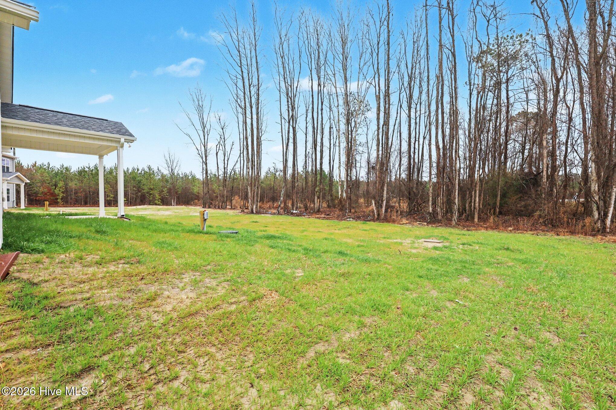 41 Tuskeegee Drive Property Photo 29
