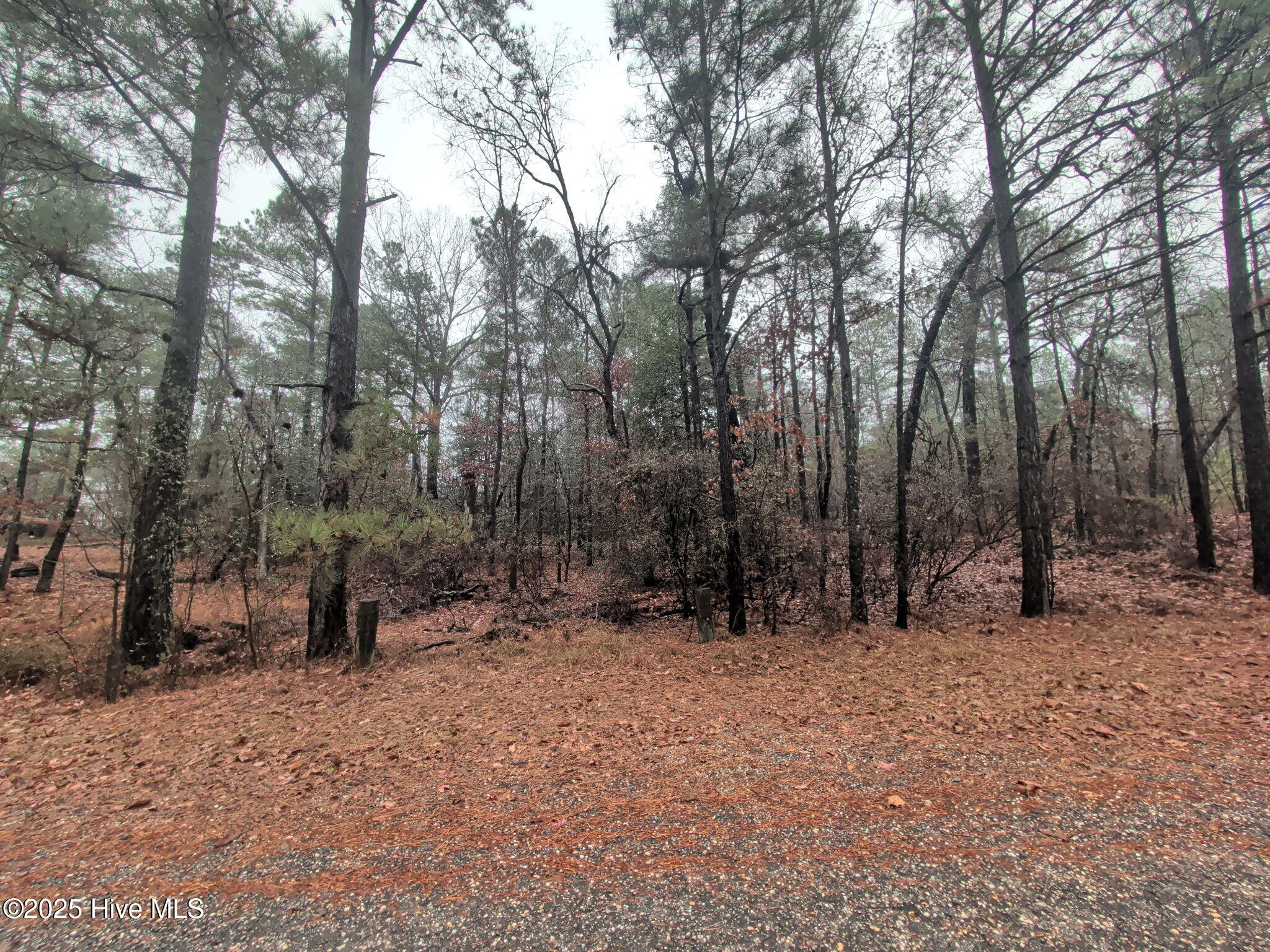1211 Laurel Circle Property Photo 1