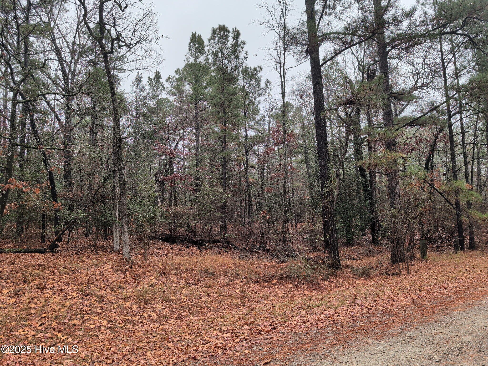 1211 Laurel Circle Property Photo 2