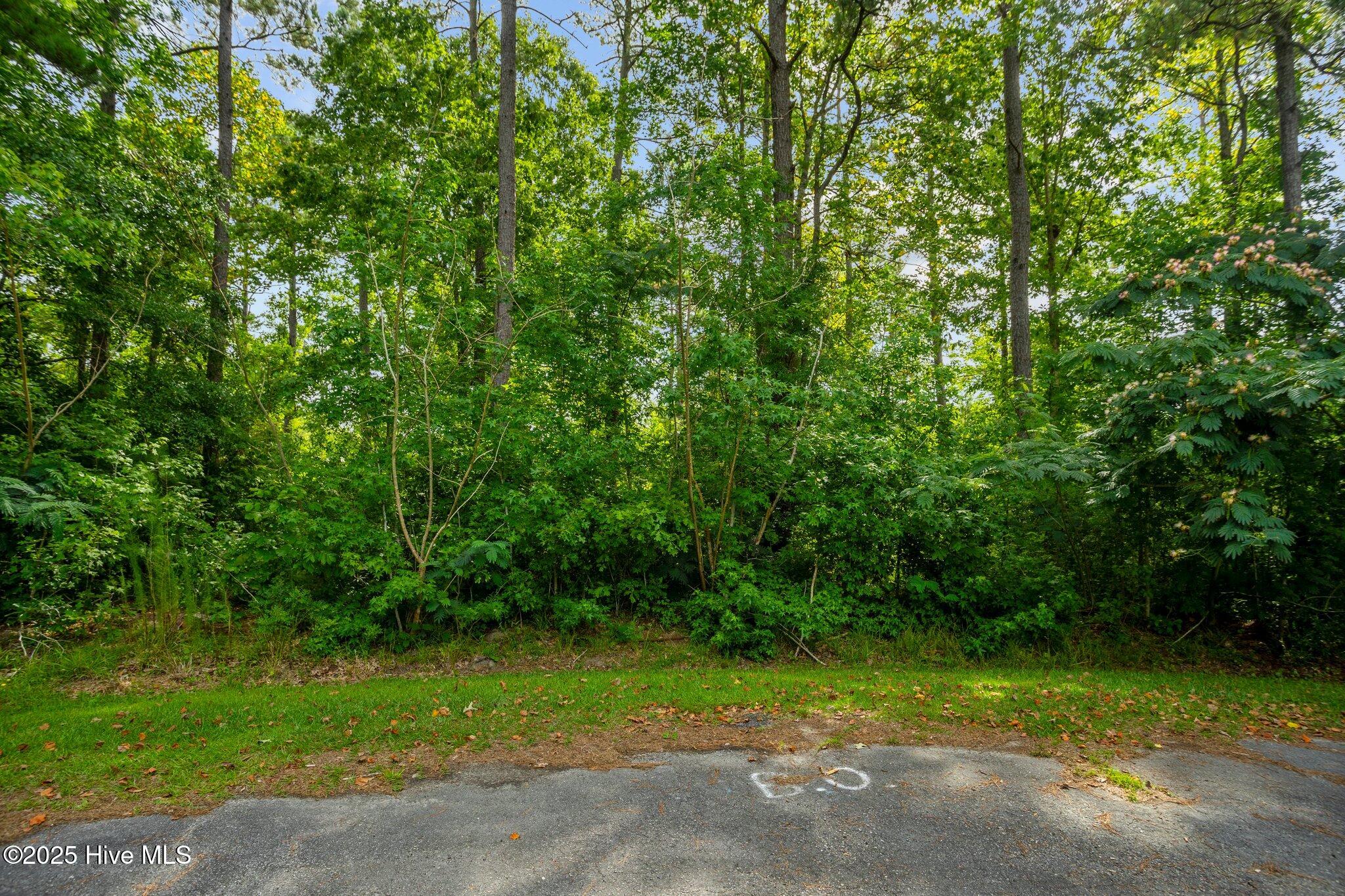 178 114 Marsh Run Property Photo 21