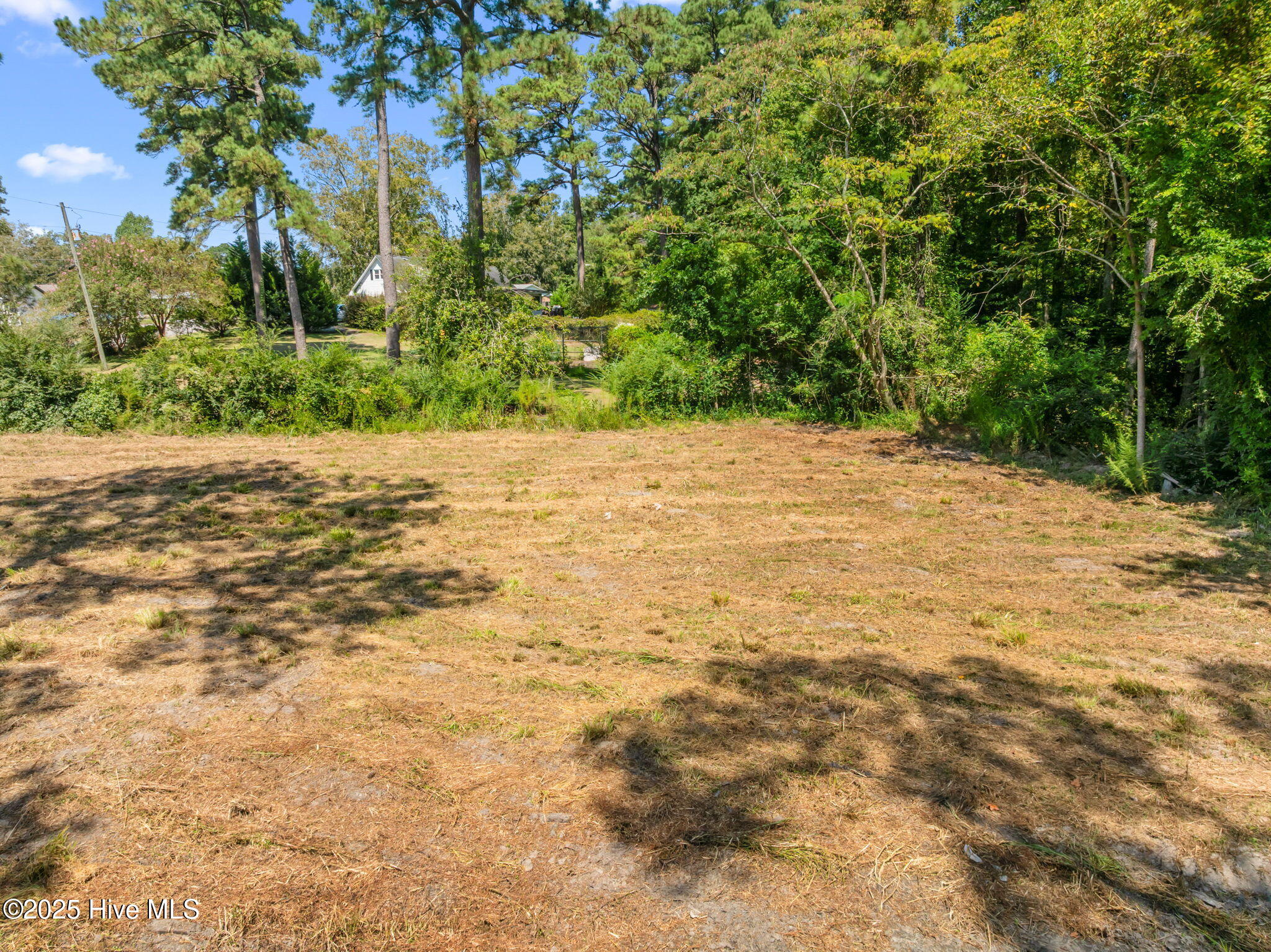 126 Jupiter Trail Property Photo 2