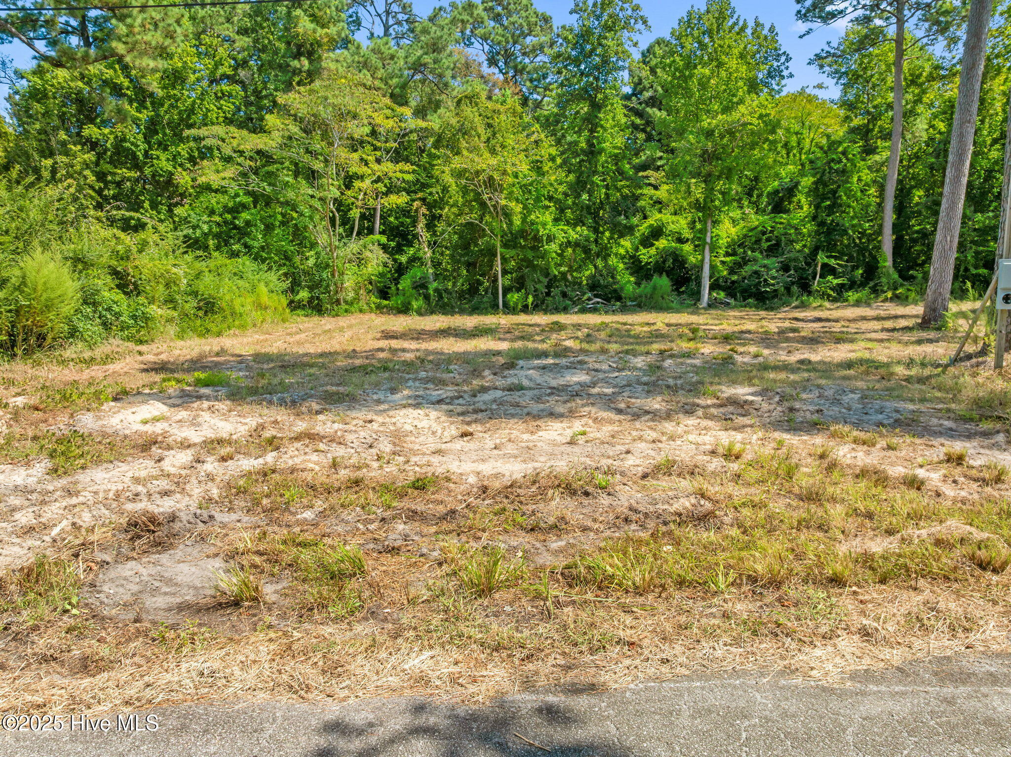 126 Jupiter Trail Property Photo 5