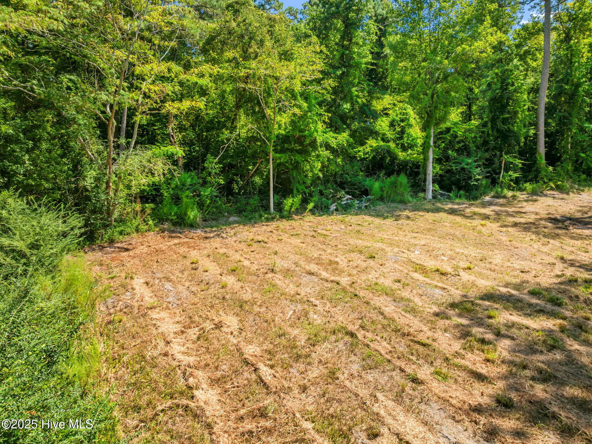 126 Jupiter Trail Property Photo 8
