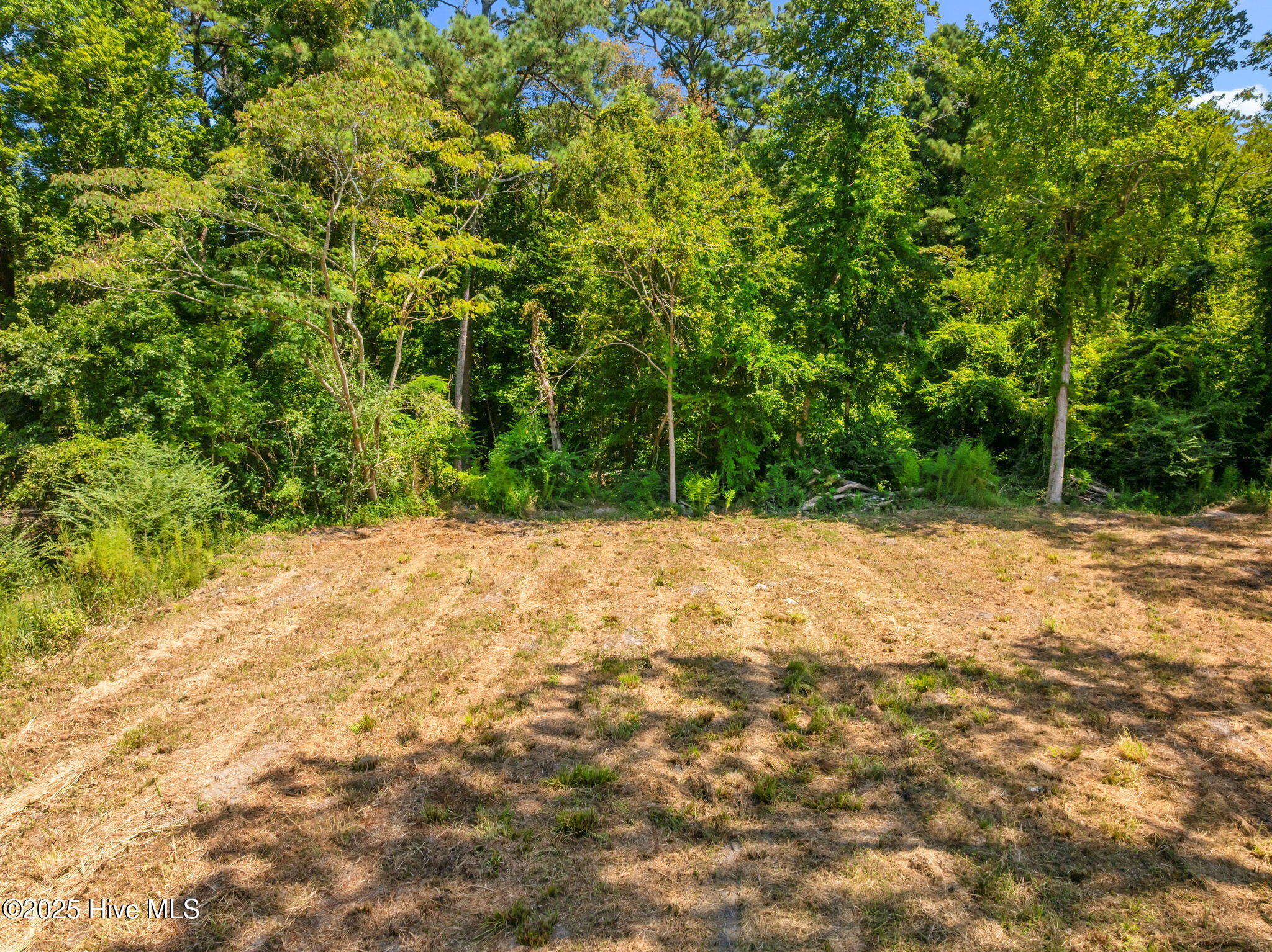 126 Jupiter Trail Property Photo 9