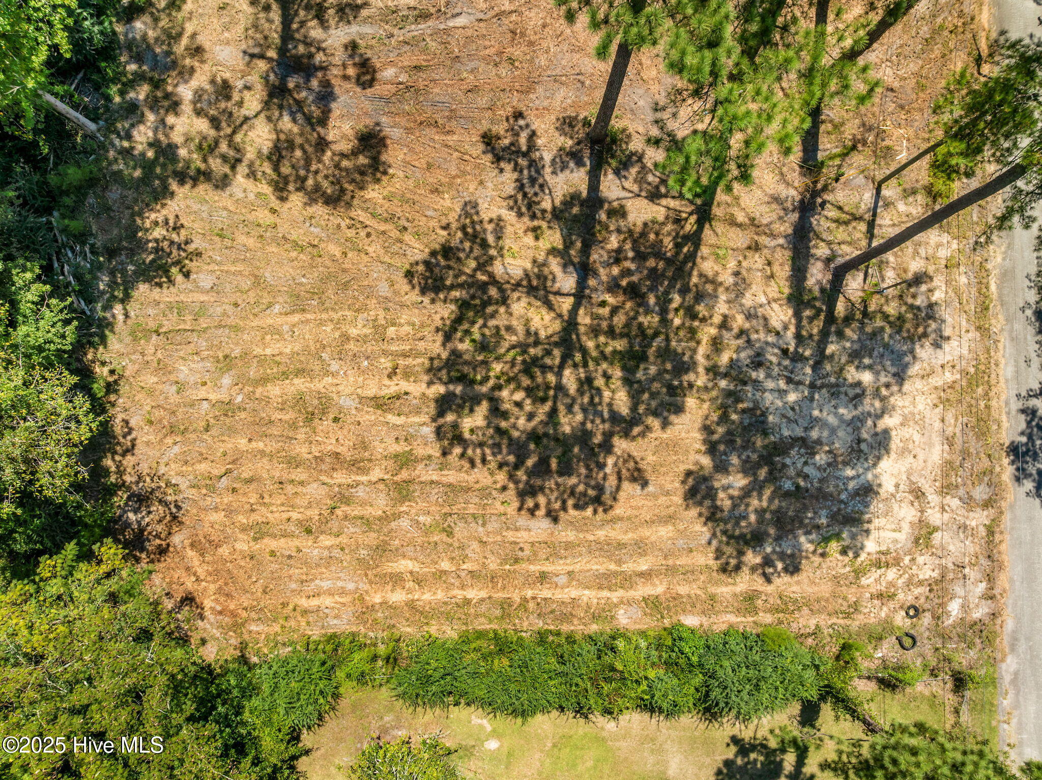 126 Jupiter Trail Property Photo 15