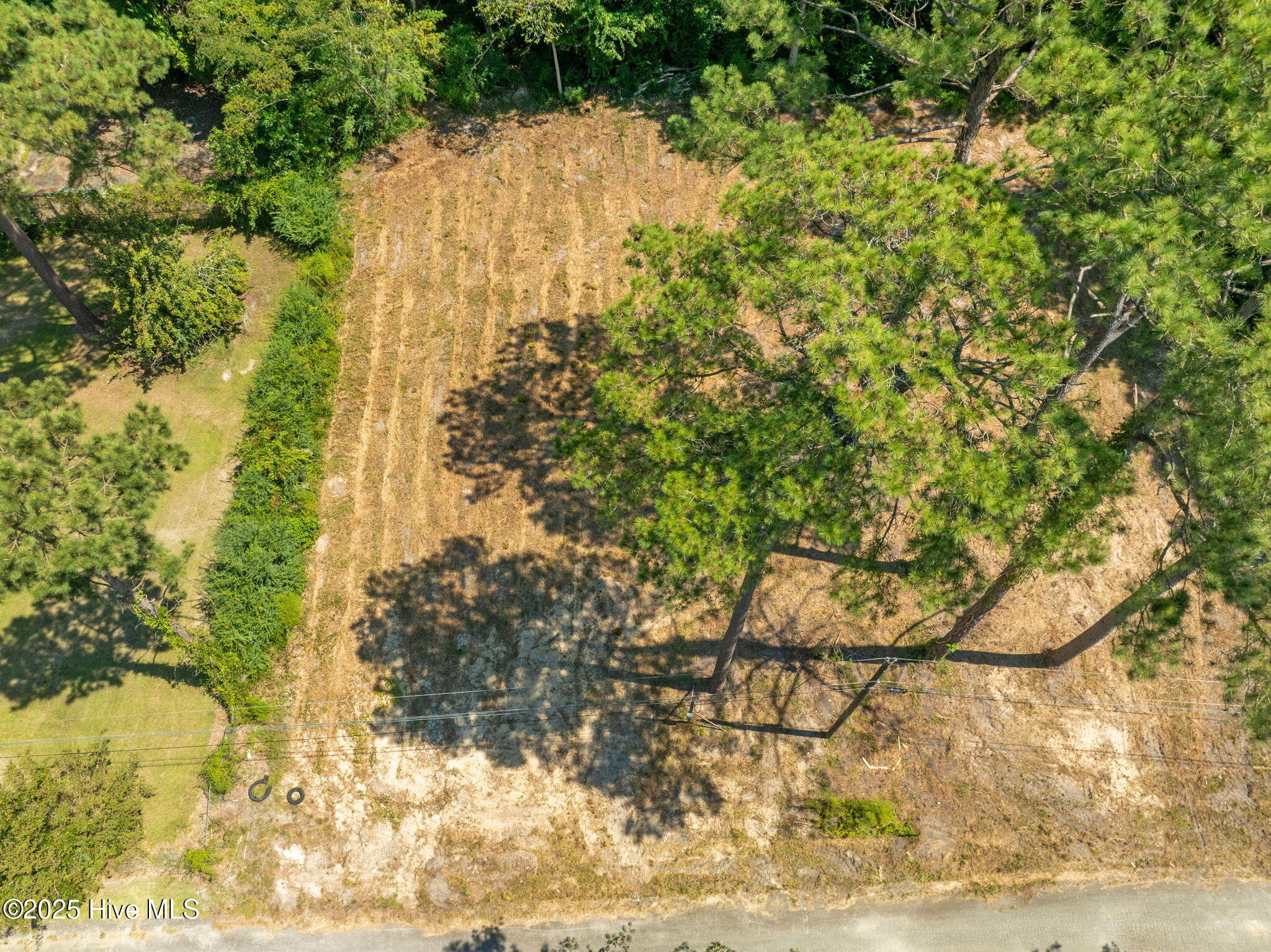 126 Jupiter Trail Property Photo 16