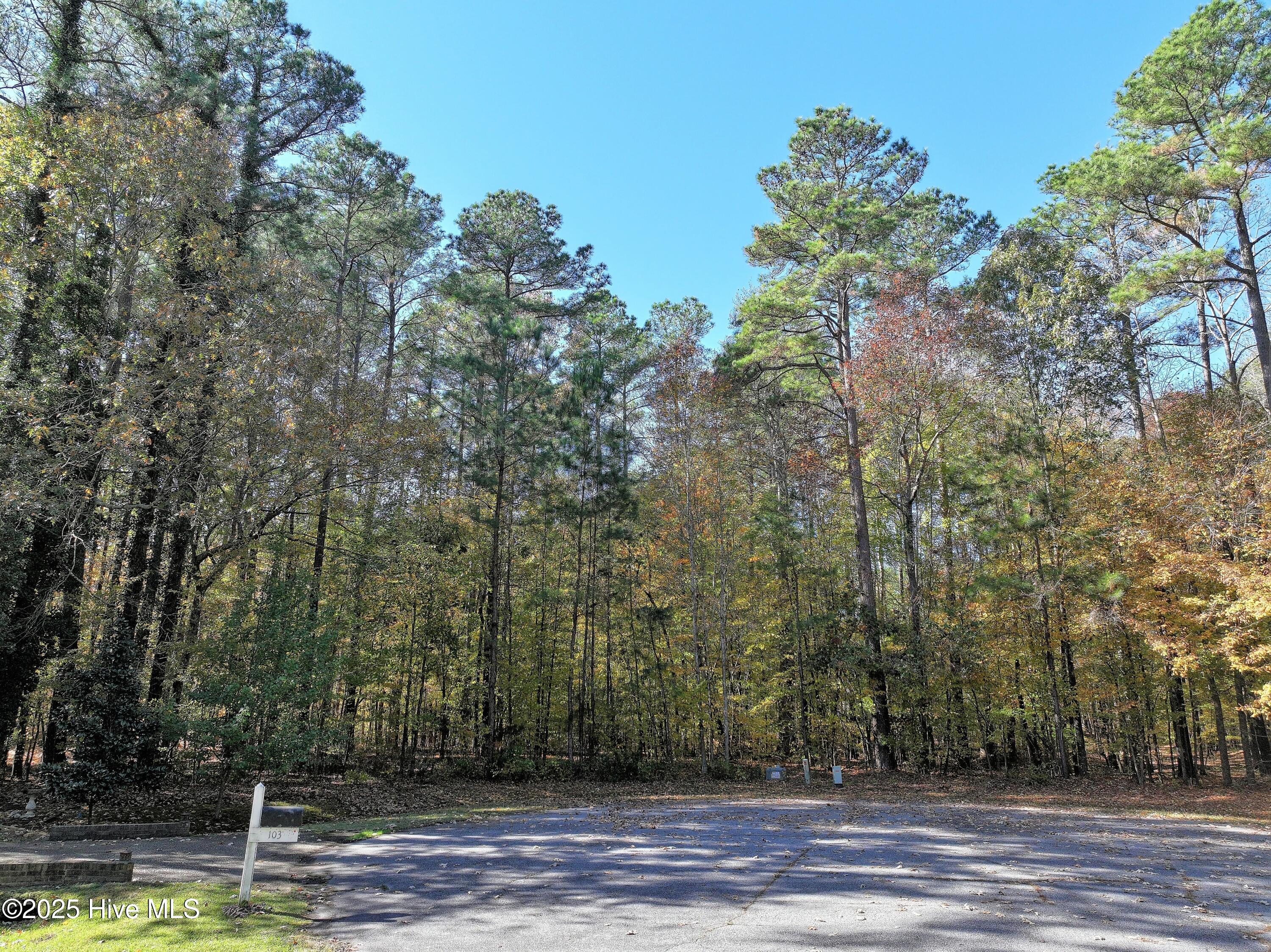 105 38 Lumber Circle Property Photo 5