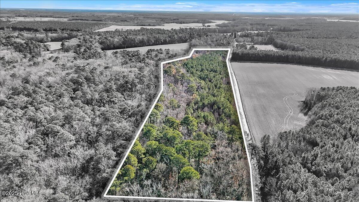 1218 Elleanor Road Property Photo 8