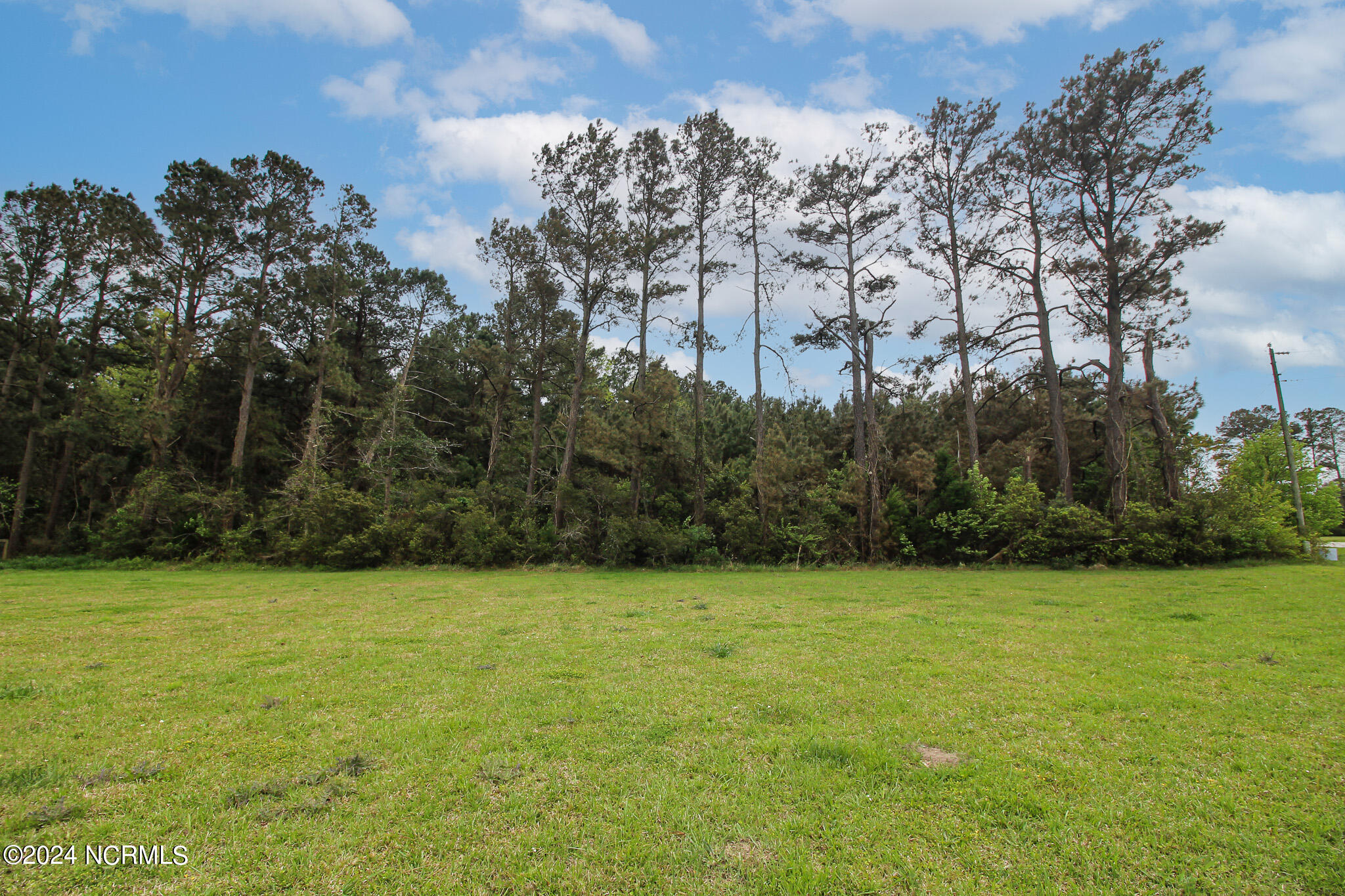 1125 Bluebill Drive Property Photo 3