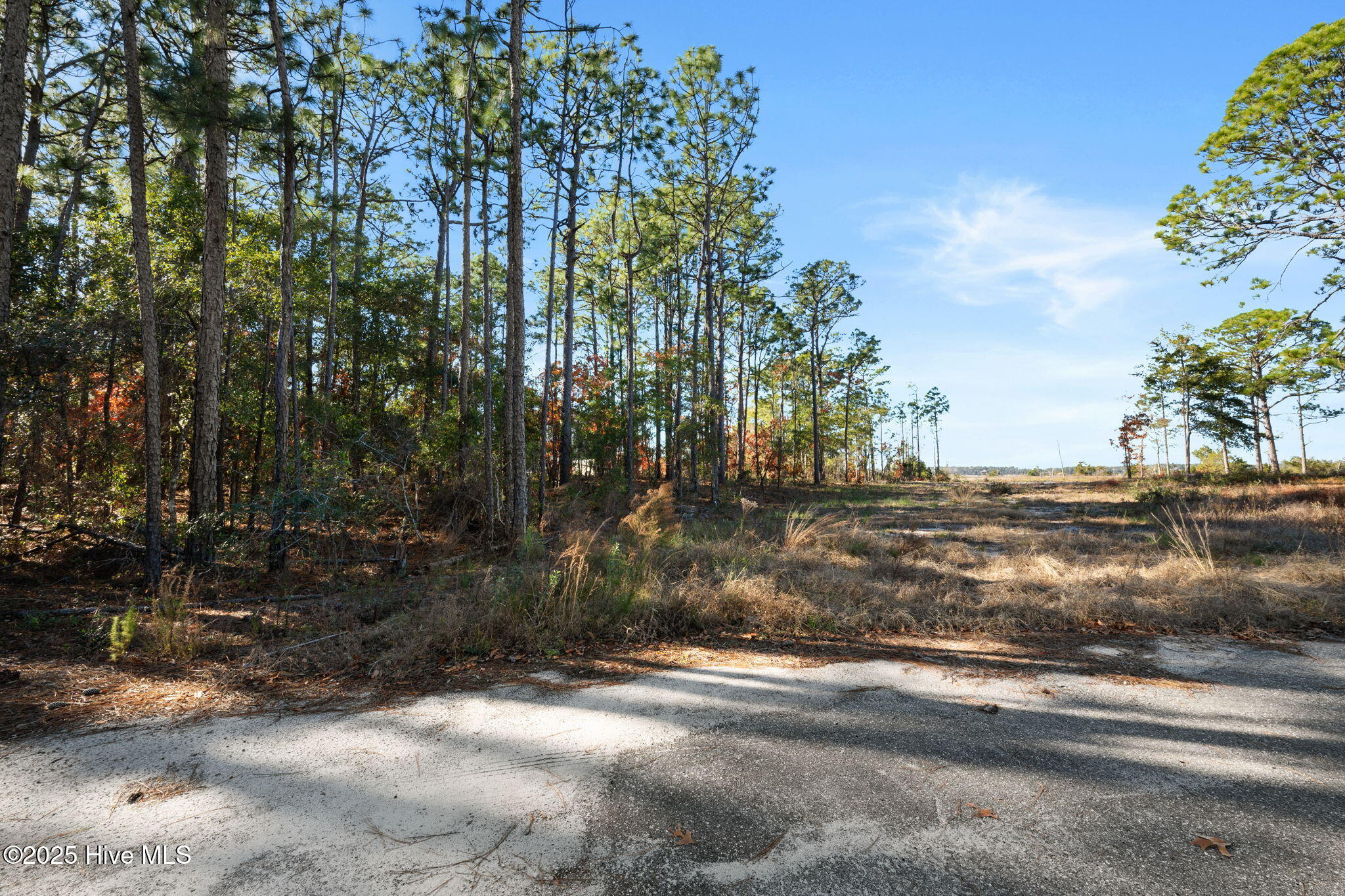 8120 River Road Property Photo 6