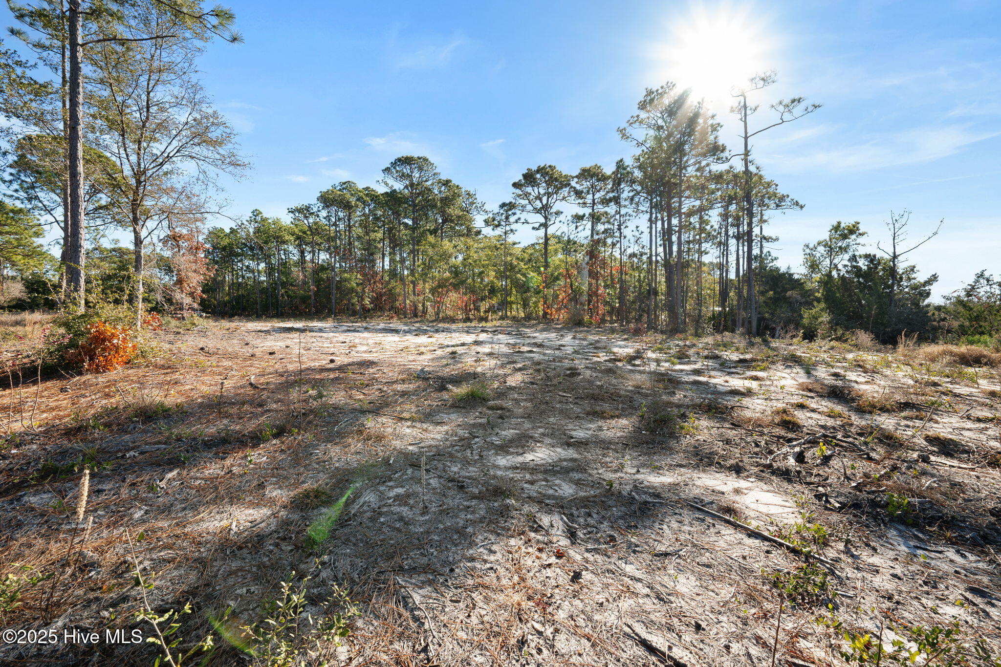 8120 River Road Property Photo 9