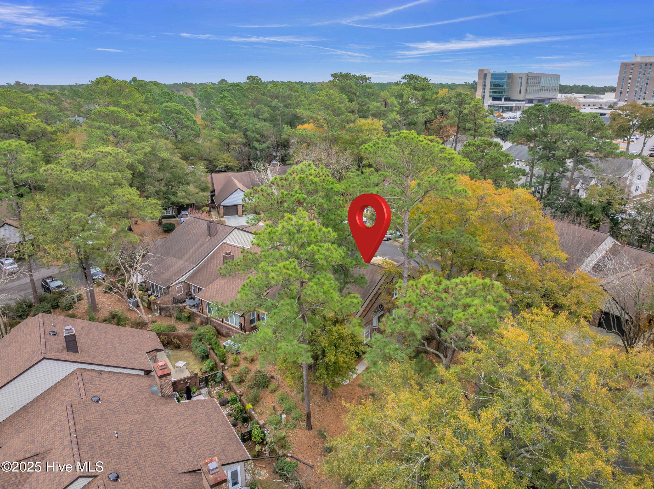 2101 Jumpin Run Drive Property Photo 46