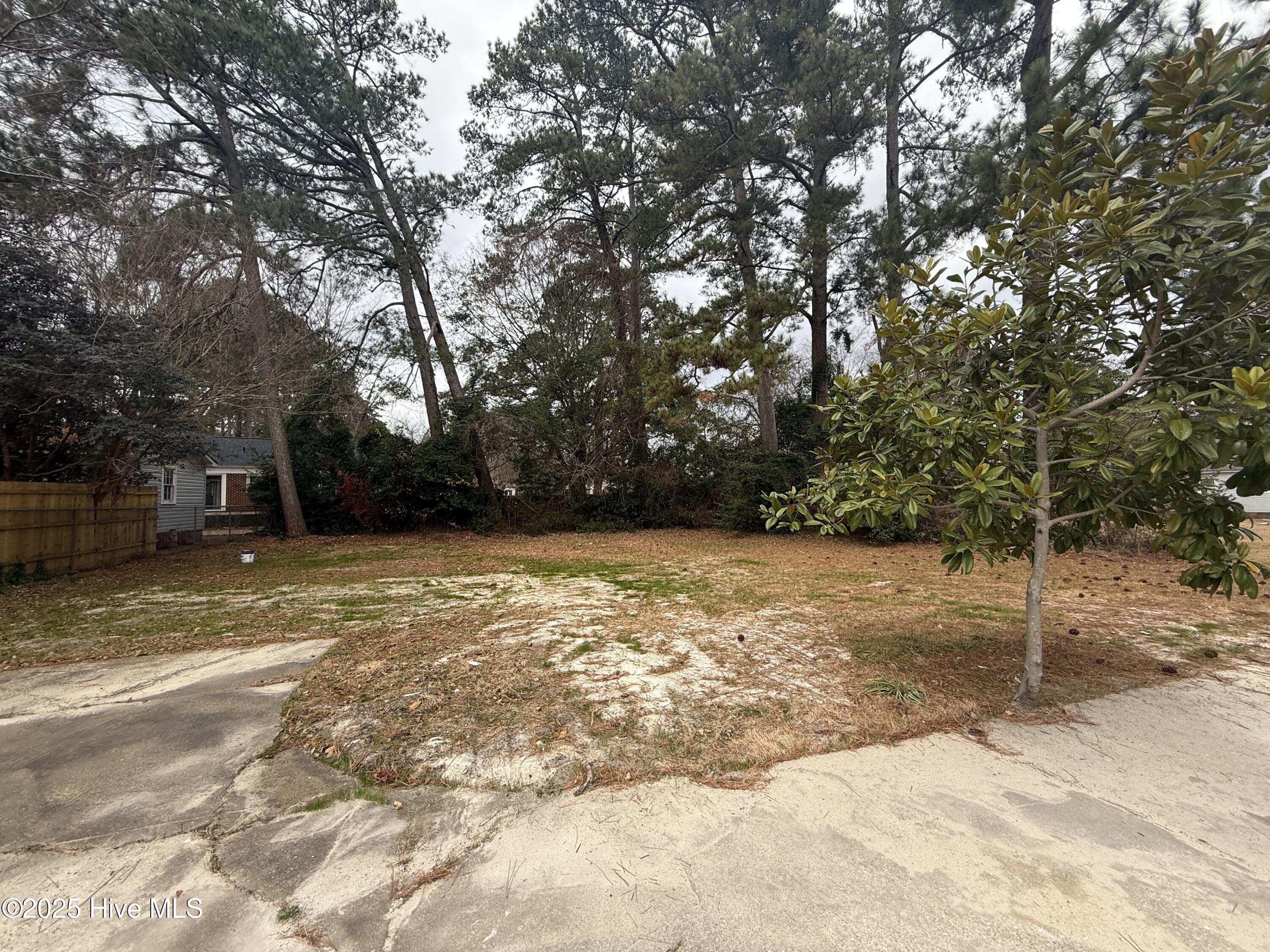 203 Stewart Avenue Property Photo 23