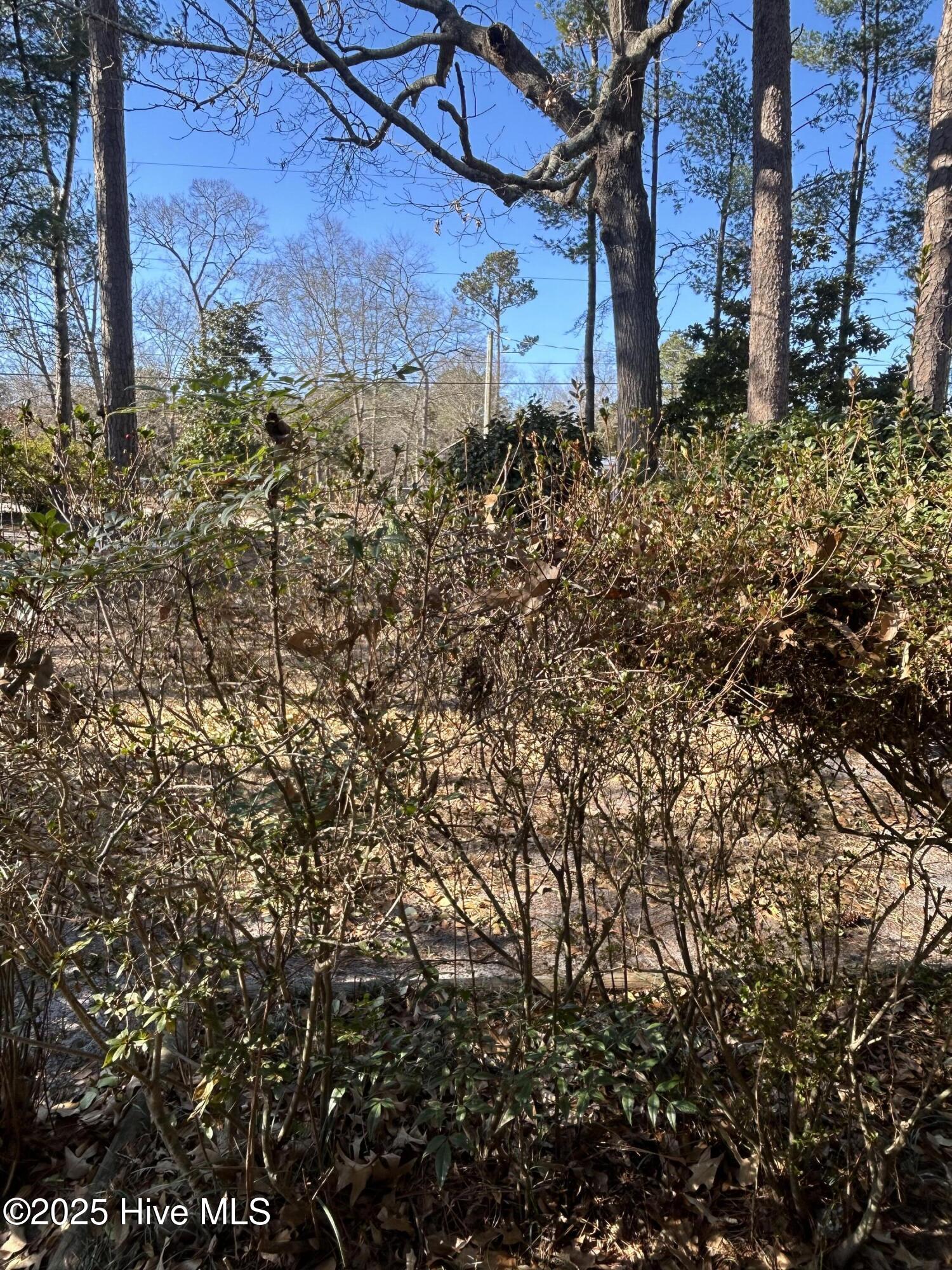206 Waldrop Road Property Photo 48