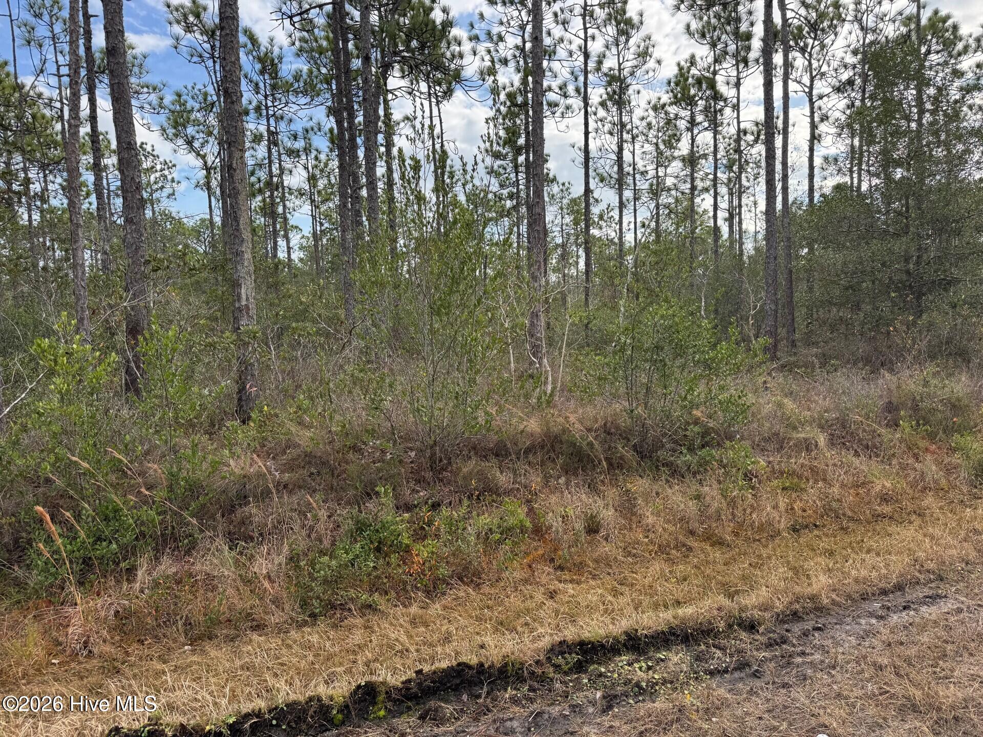 Lot 22 22 Pepperhill Road Property Photo 6