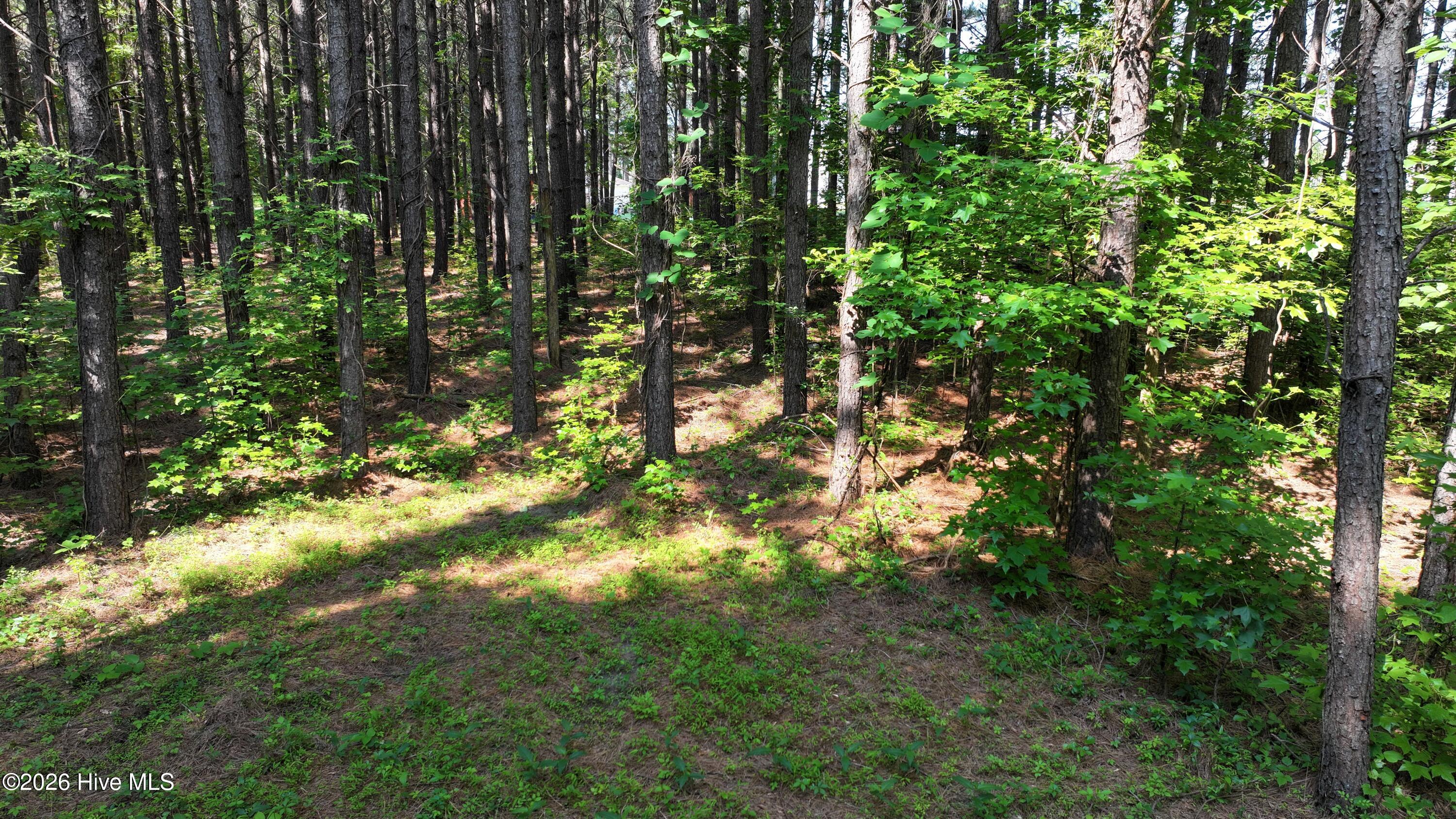 00 Cooper Branch Road Property Photo 26