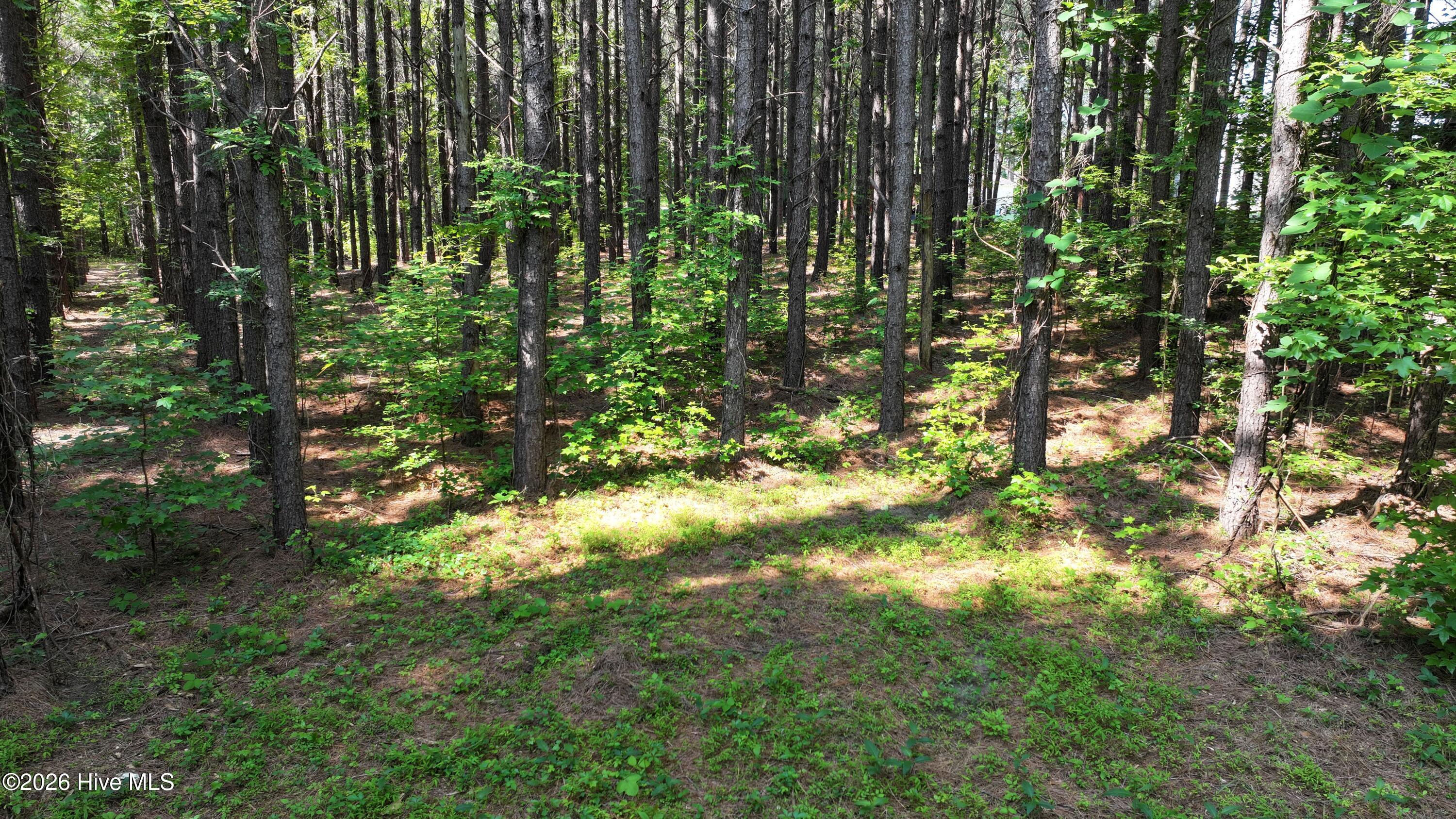 00 Cooper Branch Road Property Photo 27