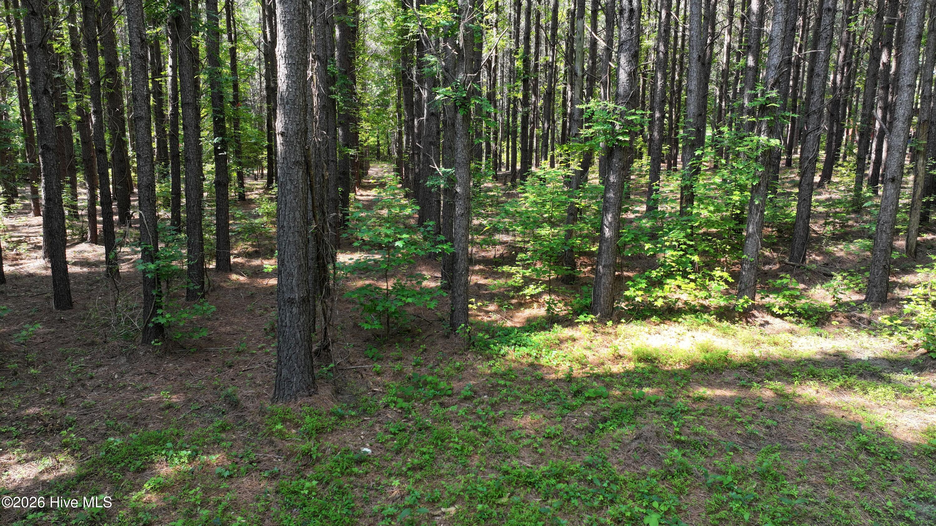00 Cooper Branch Road Property Photo 28