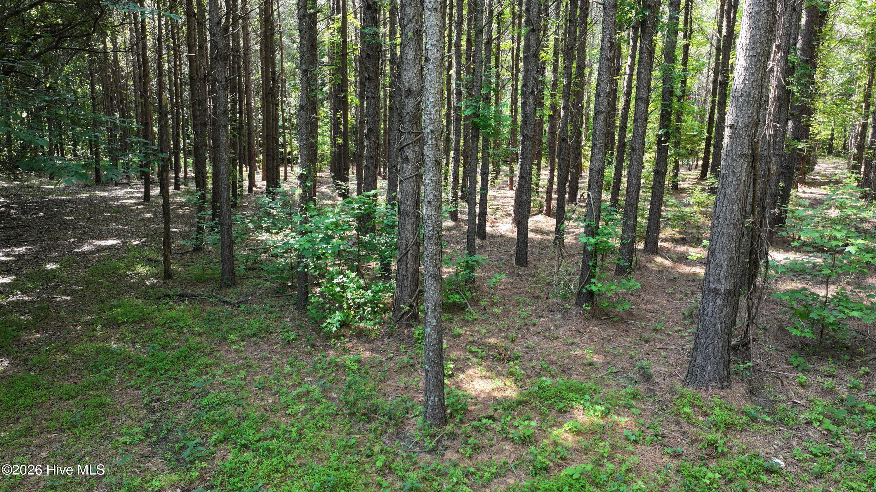00 Cooper Branch Road Property Photo 29