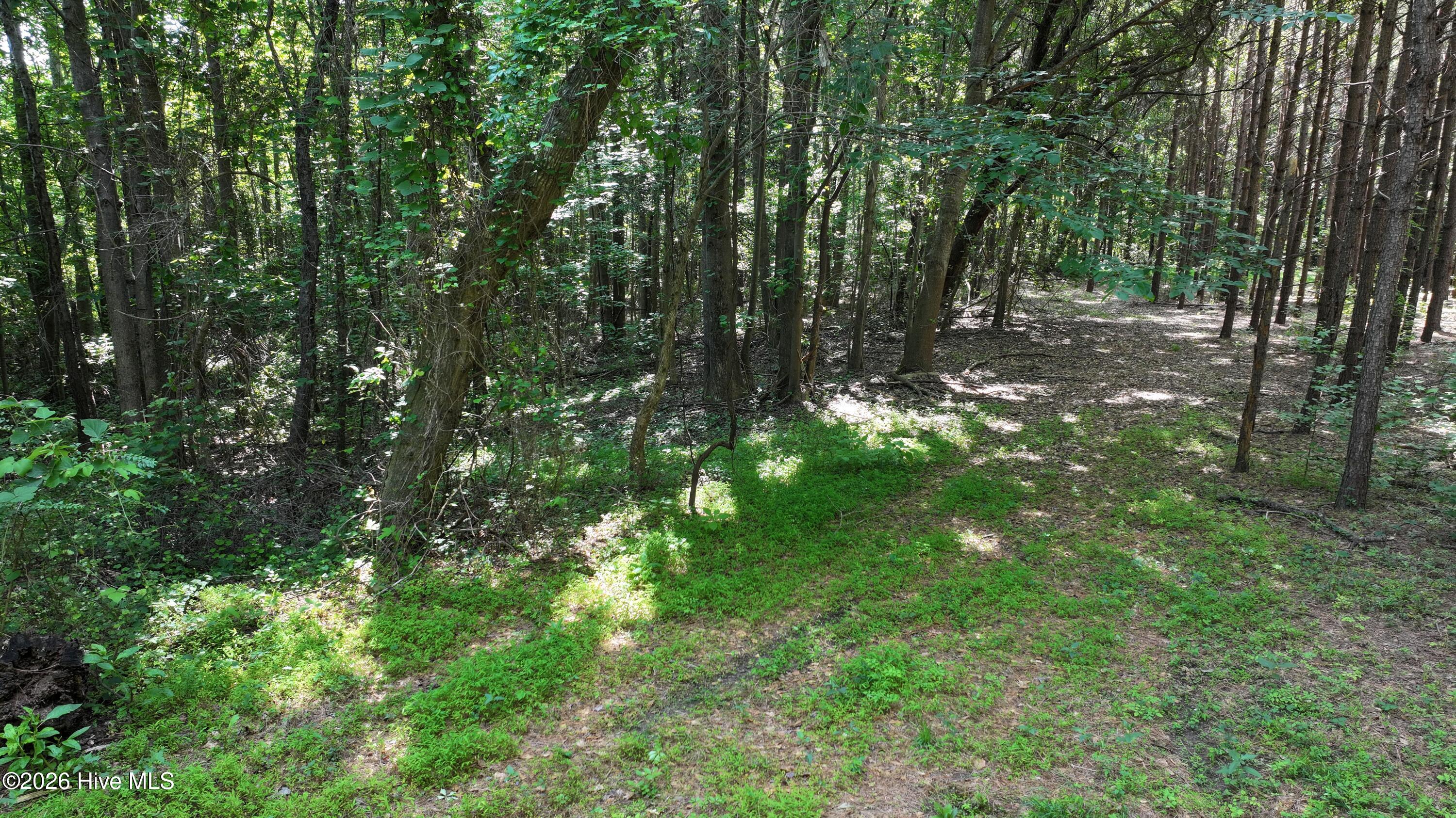 00 Cooper Branch Road Property Photo 30
